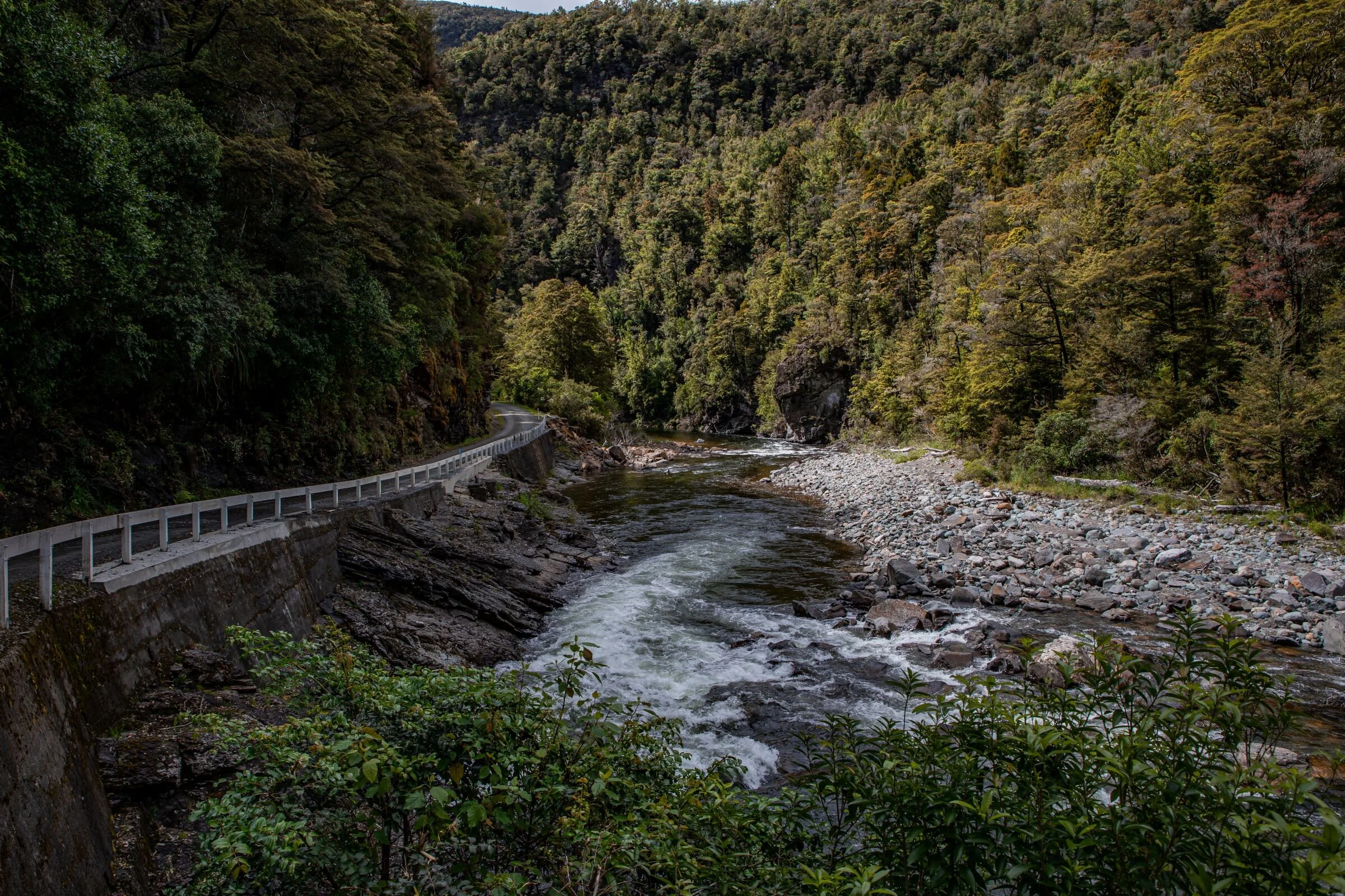 Golden Bay Journey,Cobb Valley,-3444.jpg