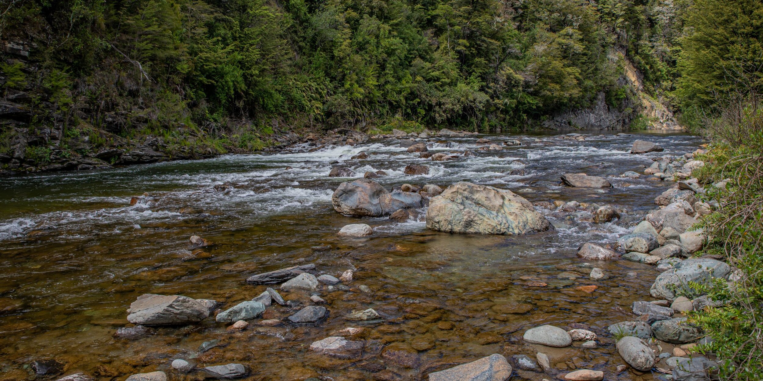 Golden Bay Journey,Cobb Valley,-3456.jpg