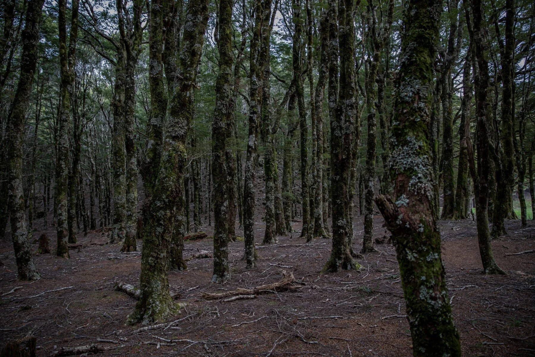 Golden Bay Journey,Harwoods Hole,-4227 (2).jpg