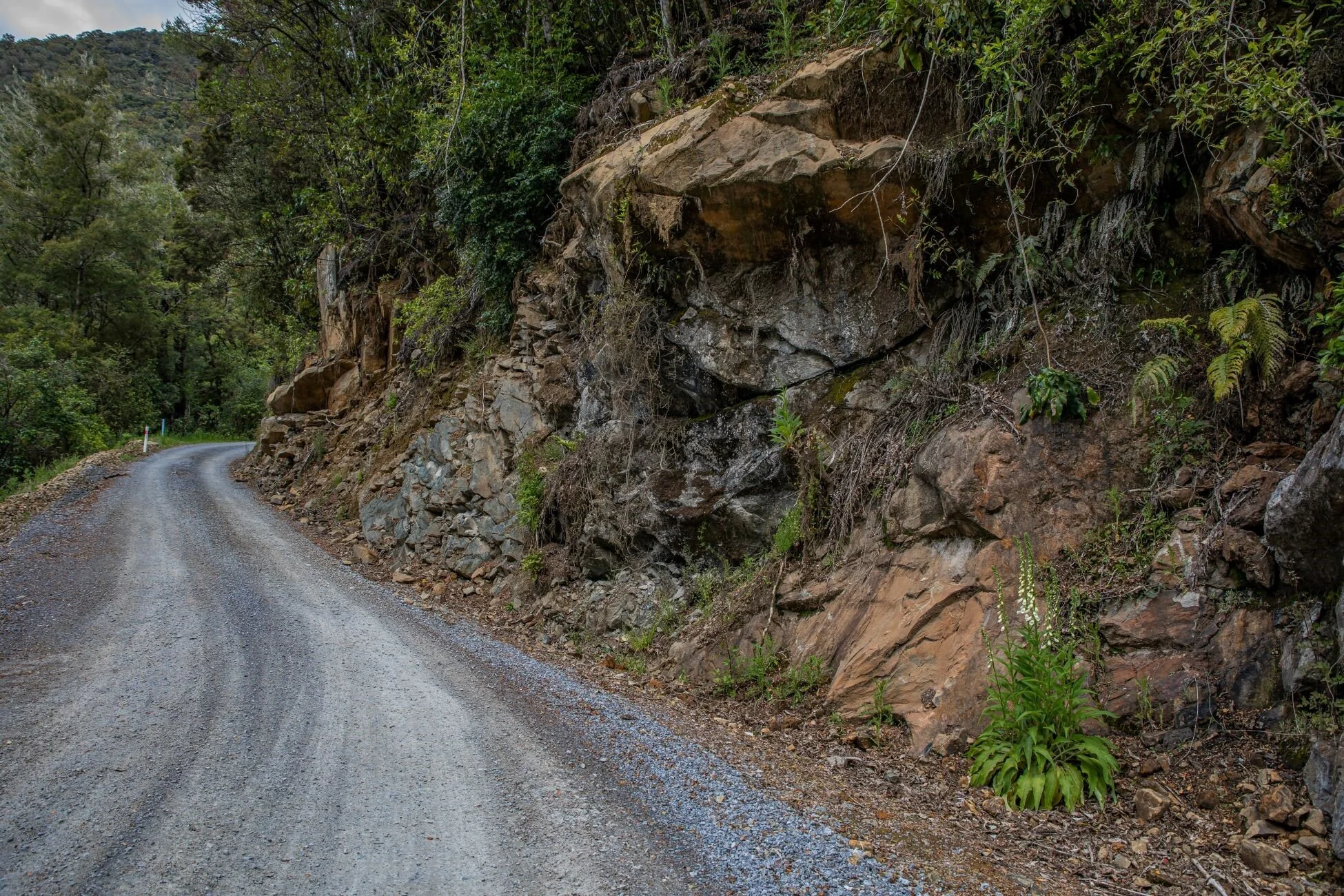 Golden Bay Journey,Cobb Valley,-3590 (2).jpg