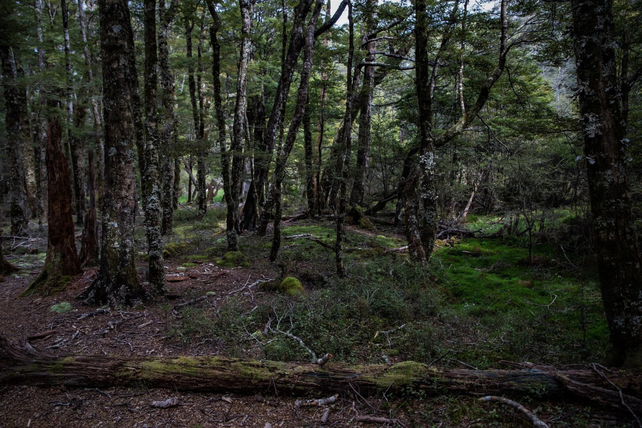 Golden Bay Journey,Harwoods Hole,-4243 (2).jpg