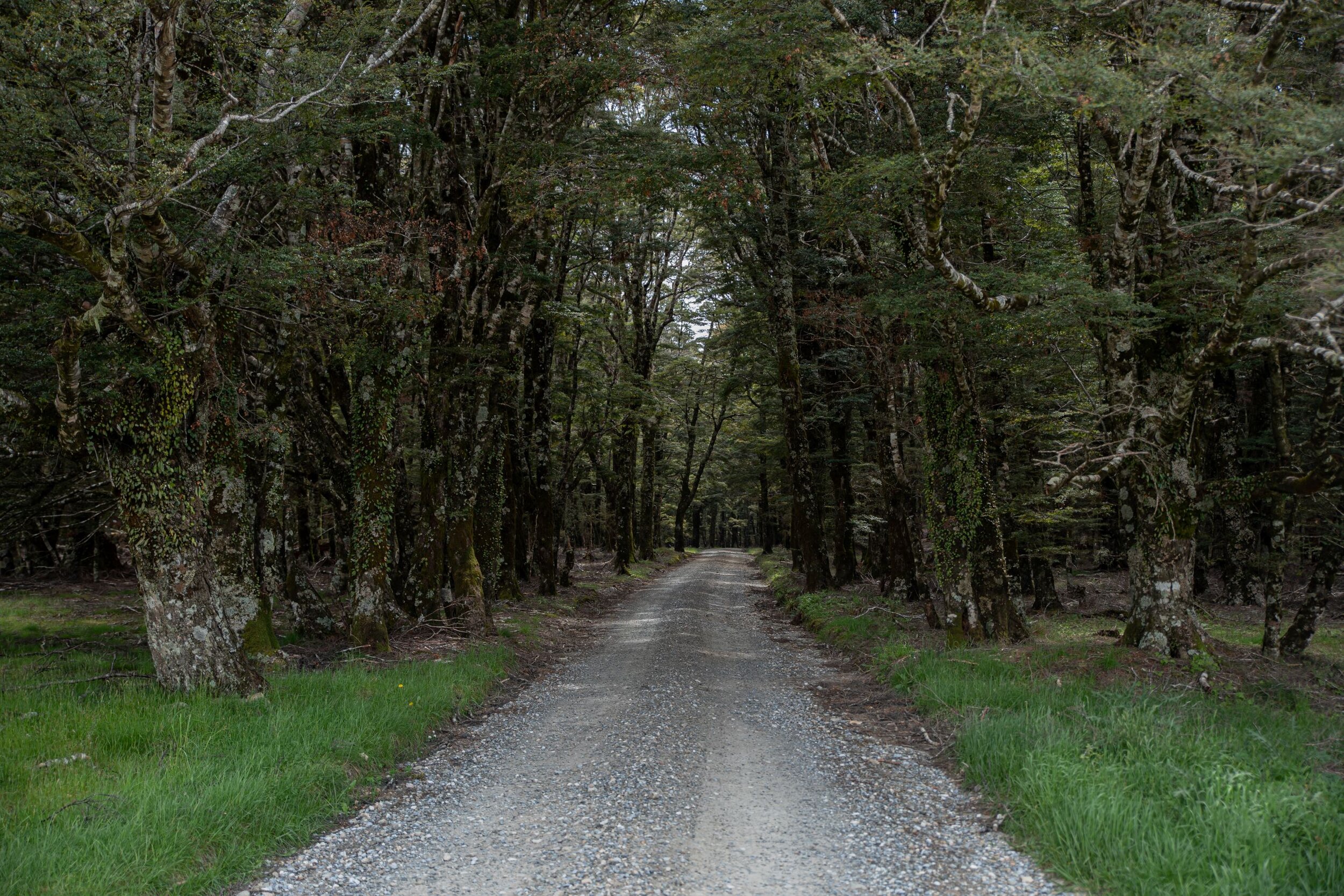 Golden Bay Journey,Harwoods Hole,-4297.jpg