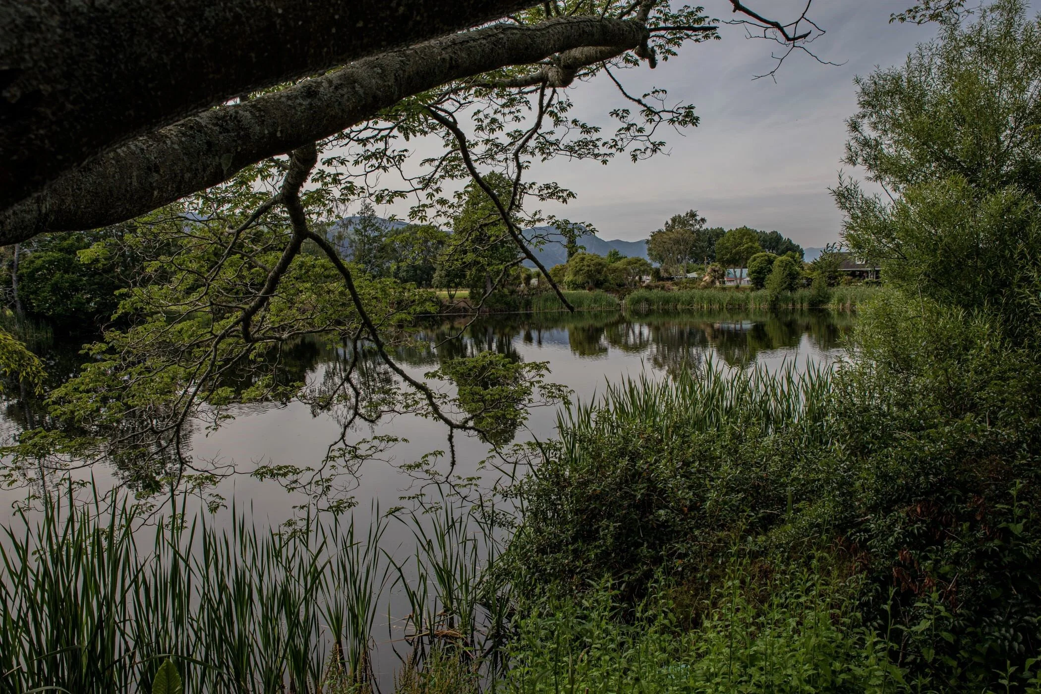Golden Bay Journey,Killarney Lake,-4194 (2).jpg