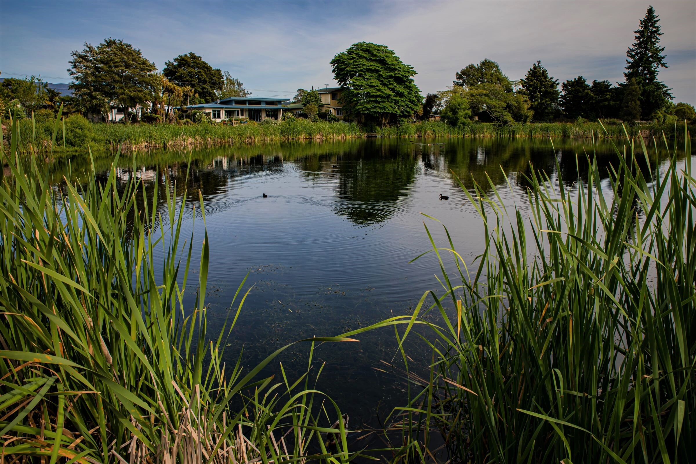 Golden Bay Journey,Killarney Lake,-4212 (2).jpg