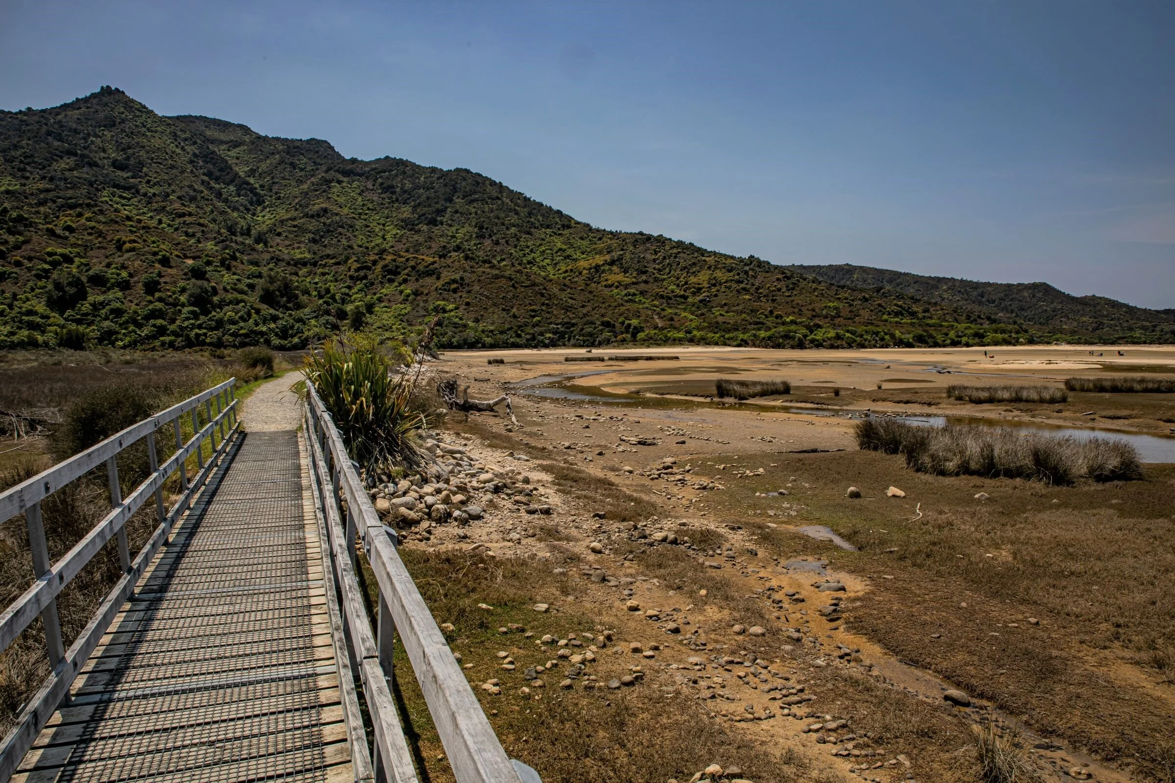 Golden Bay Journey,Marahau,-4300 (2).jpg