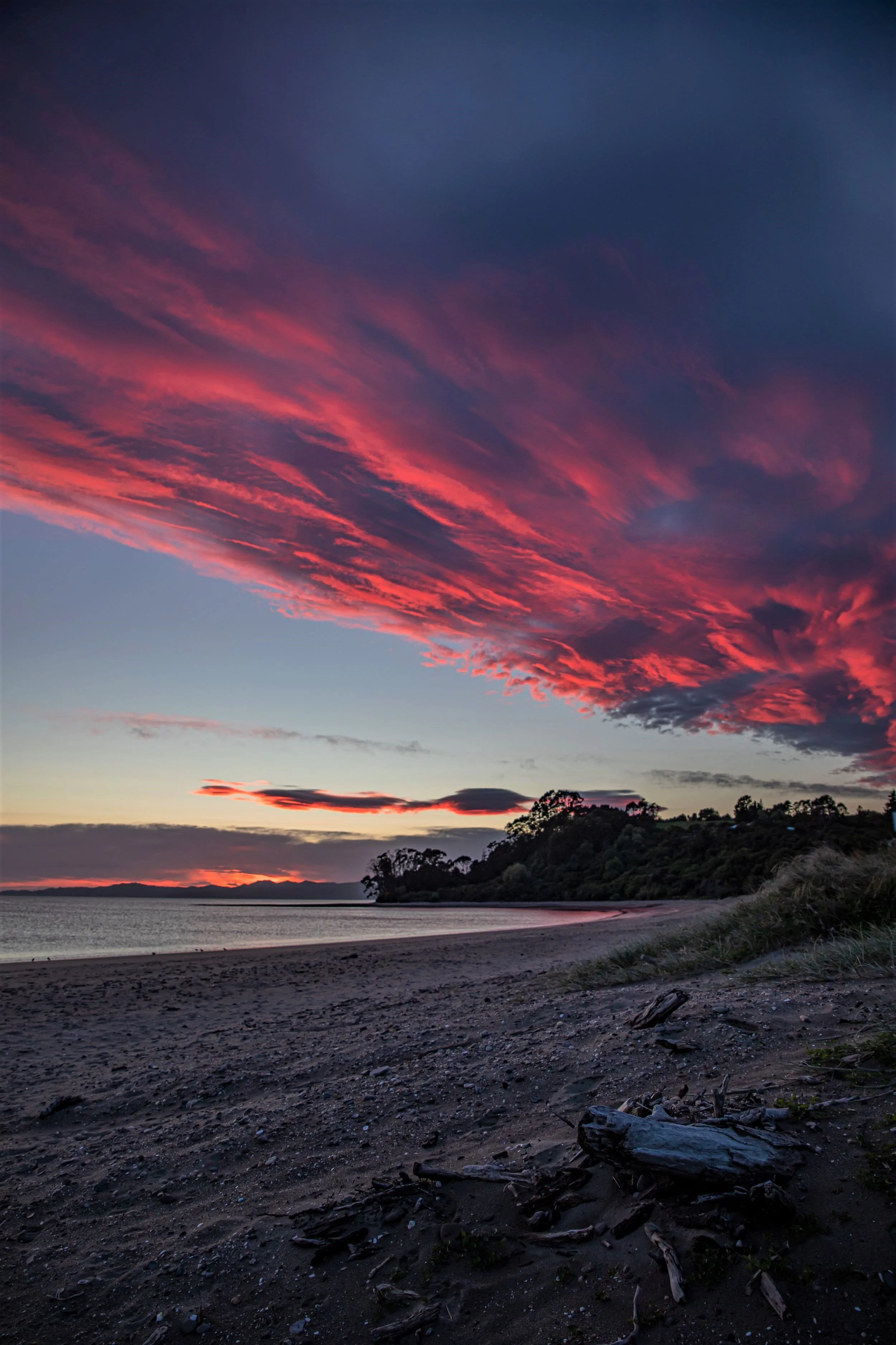 Golden Bay Journey,Parapara,-3169 (2).jpg