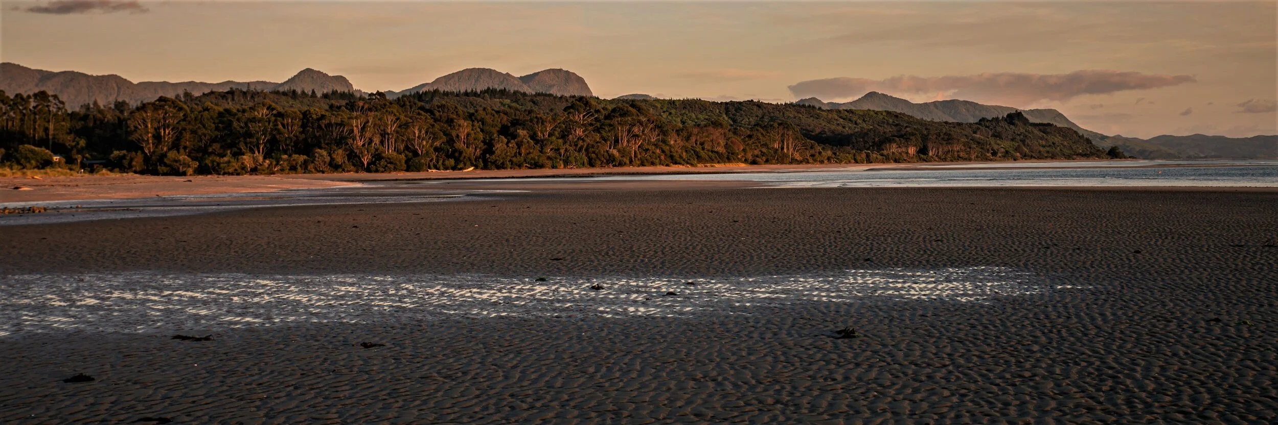 Golden Bay Journey,Parapara,-3201 (2).jpg