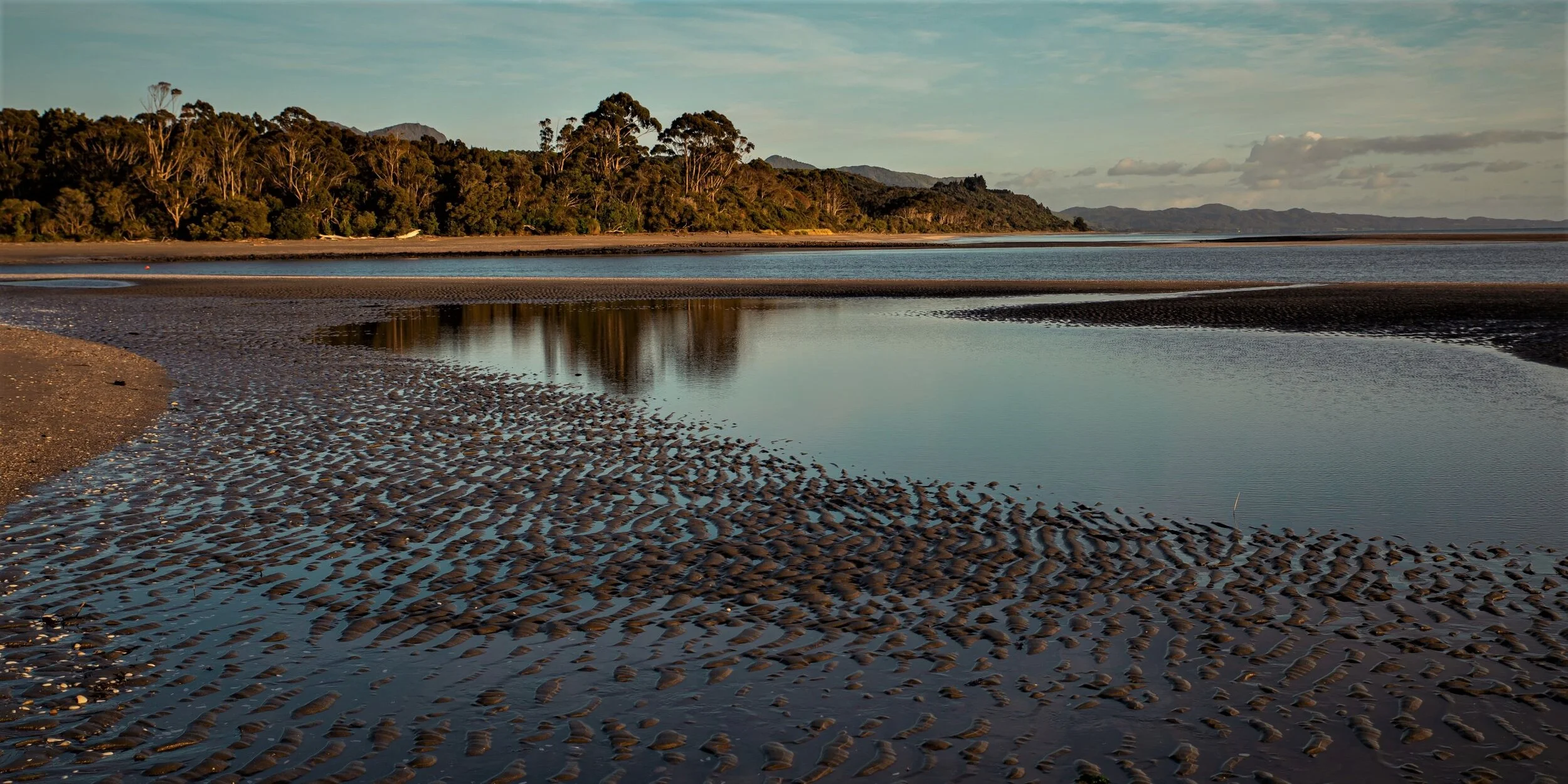 Golden Bay Journey,Parapara,-3209 (2).jpg