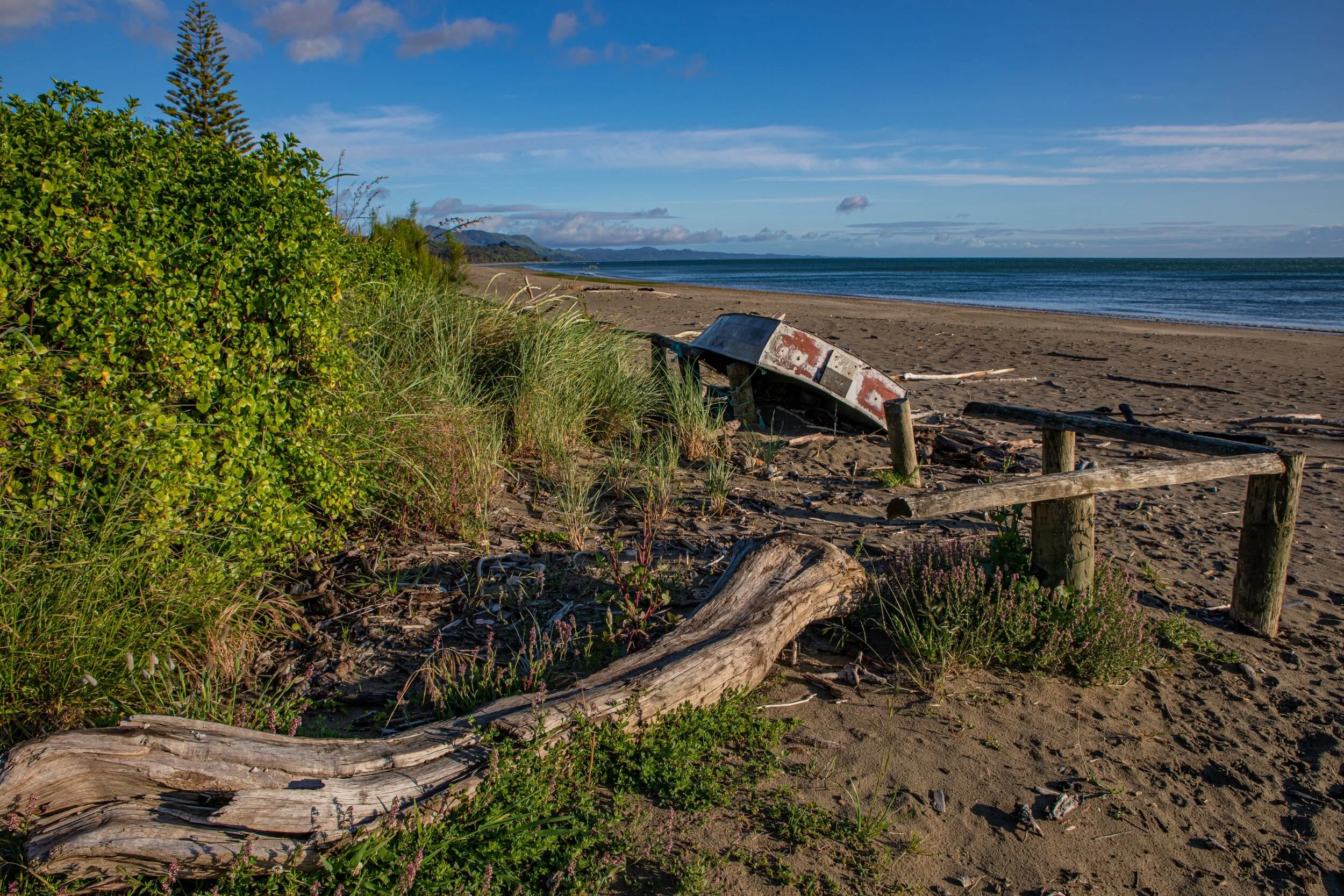Golden Bay Journey,Parapara,-3385.jpg