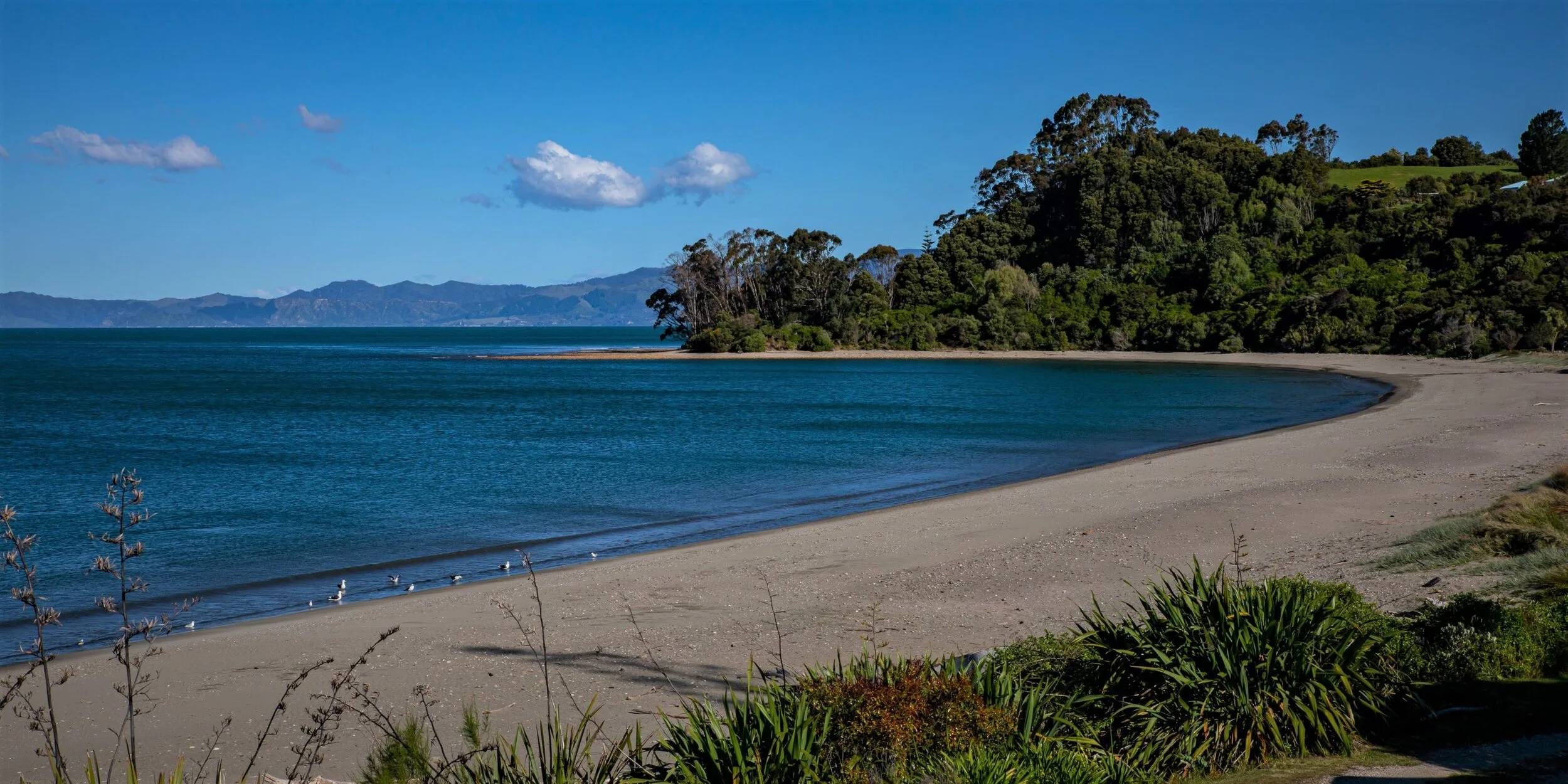 Golden Bay Journey,Parapara,-3592 (2).jpg