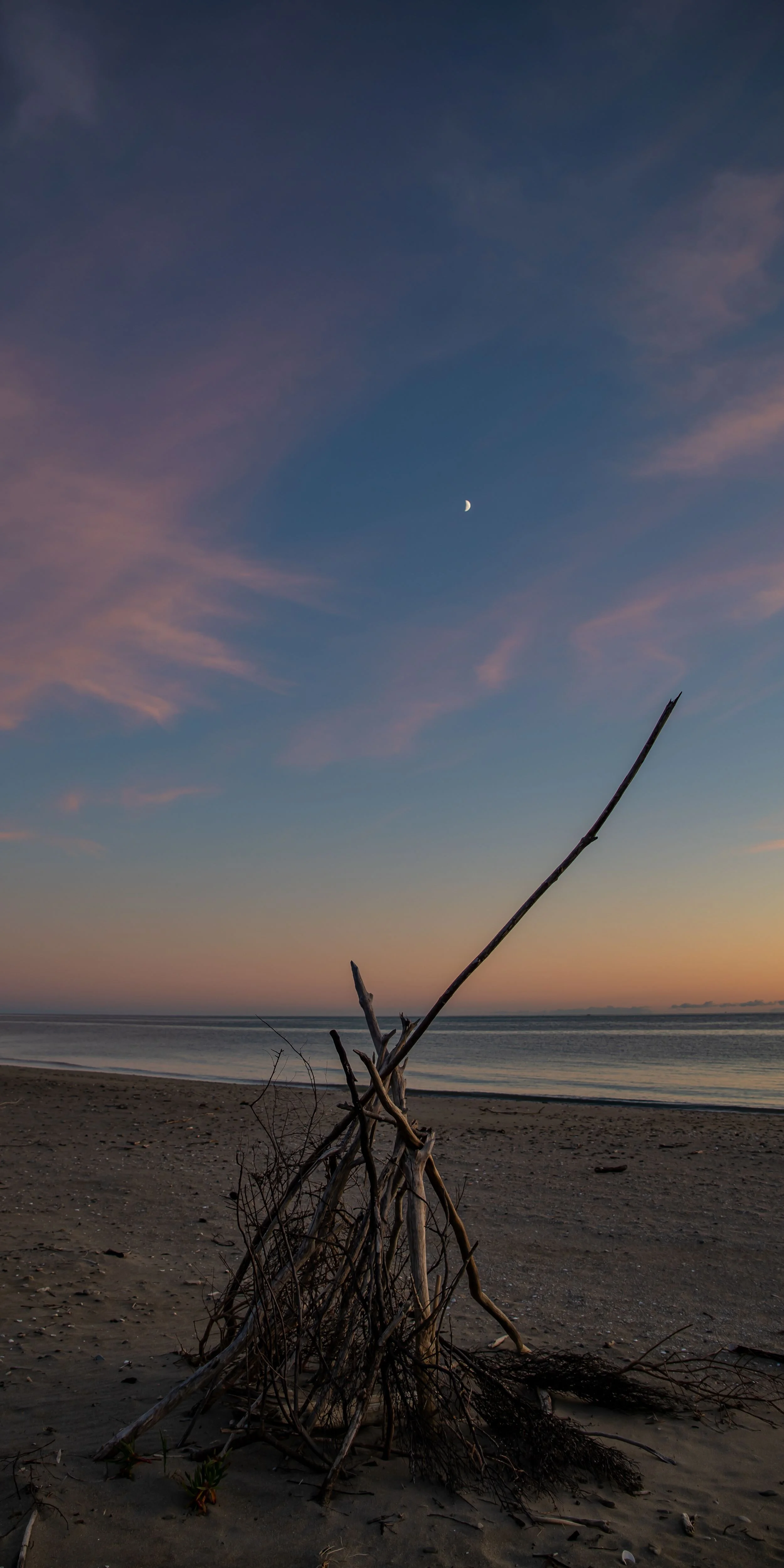 Golden Bay Journey,Parapara,-3616.jpg