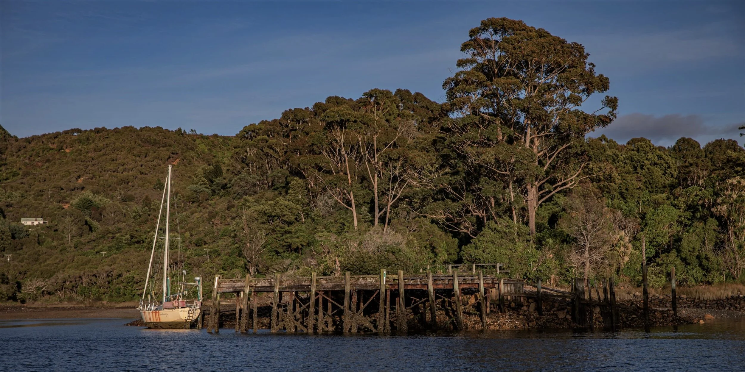 Golden Bay Journey,Parapara,Milnethorpe Quay,-3218 (2).jpg