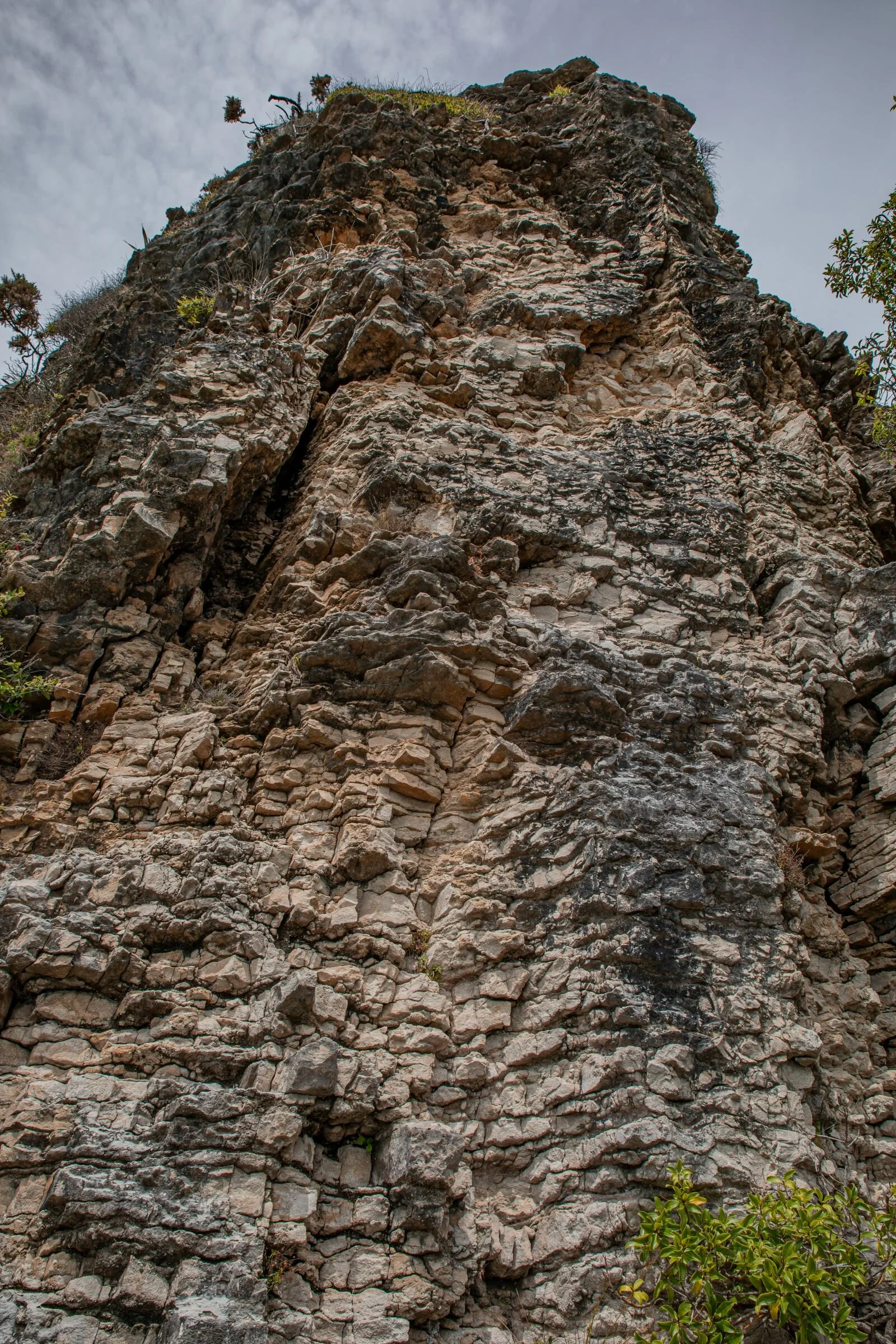 Golden Bay Journey,Pohara,-3318.jpg