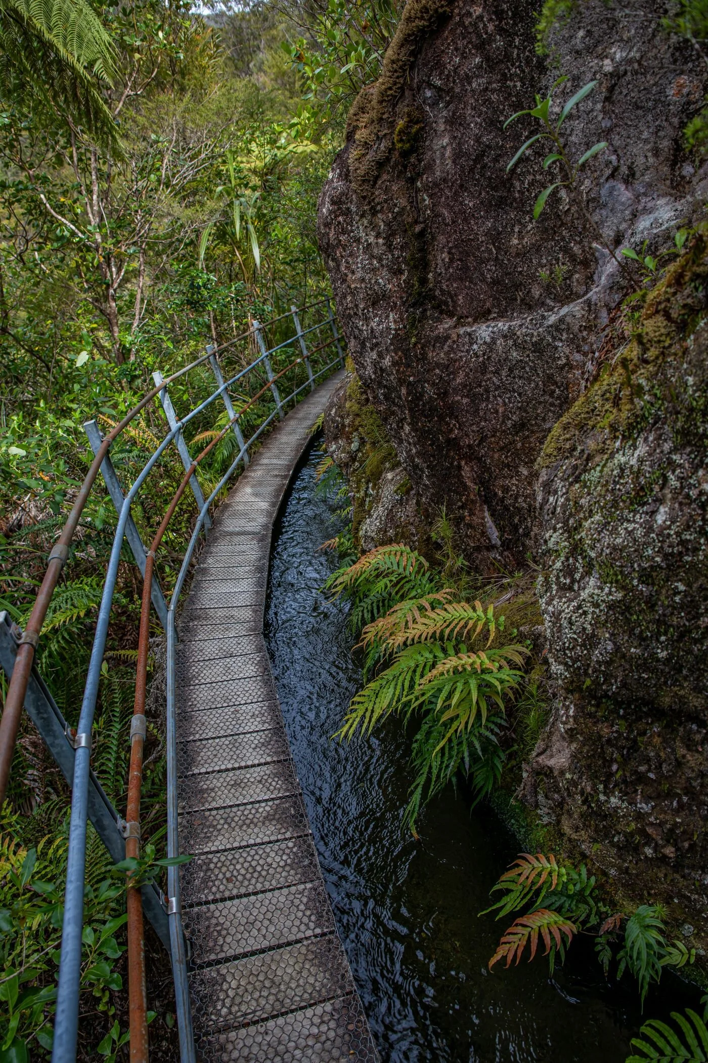 Golden Bay Journey,Pupu Hydro Walkway,-3711.jpg
