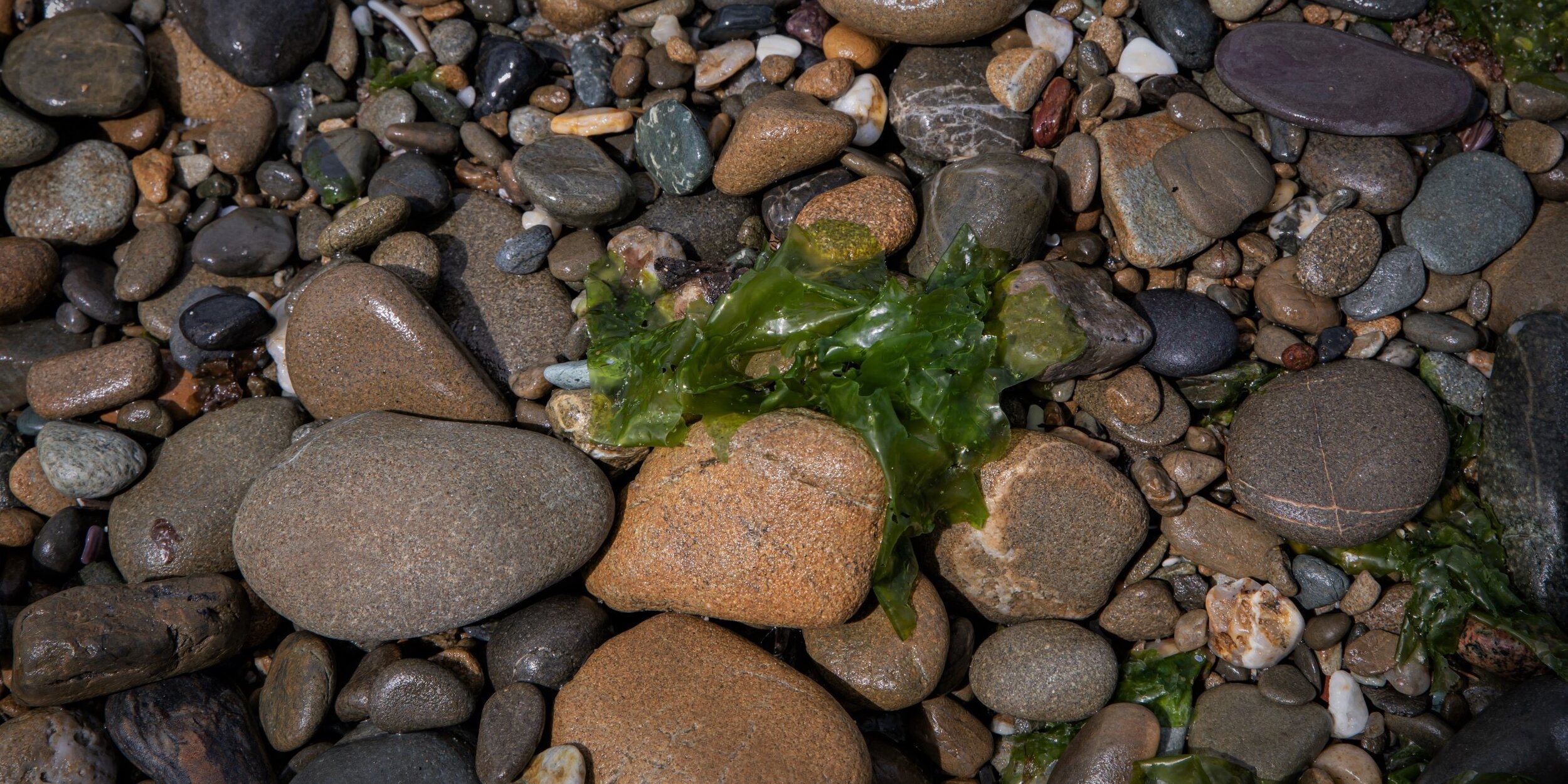 Golden Bay Journey,Ruby Bay,-3117 (3).jpg