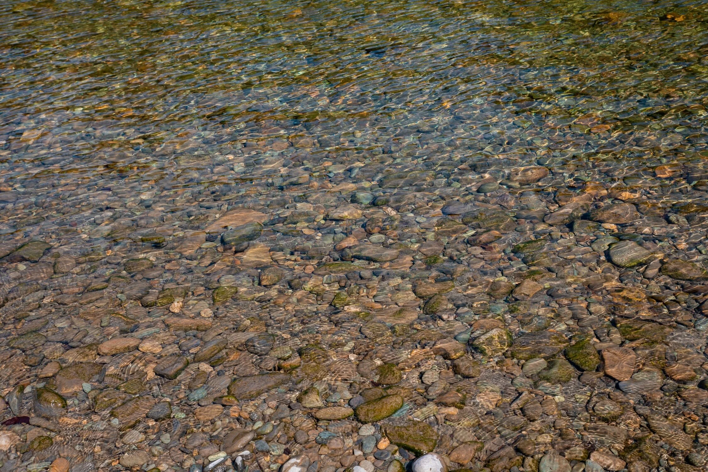 Golden Bay Journey,Takaka River,-3257.jpg