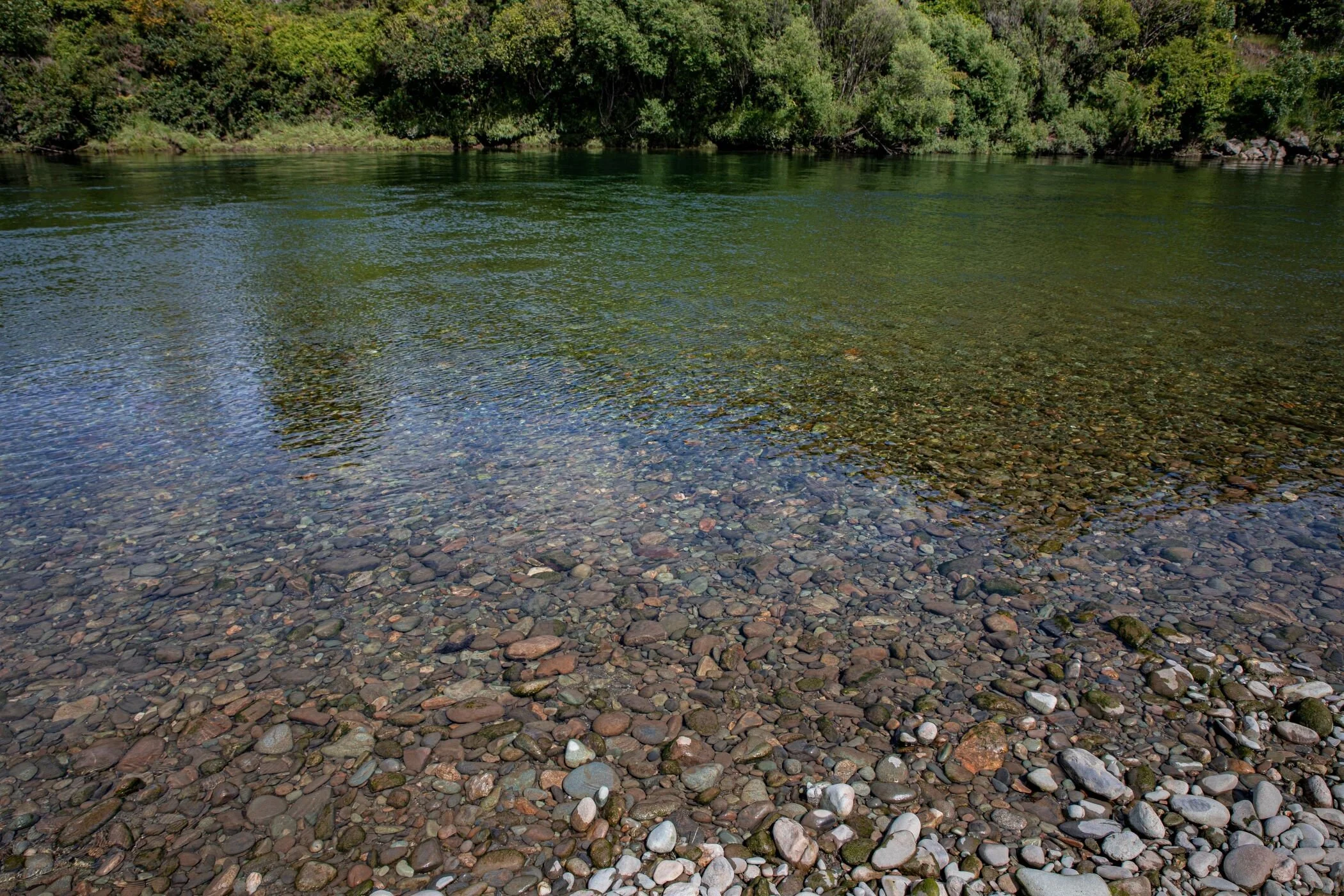 Golden Bay Journey,Takaka River,-3261 (2).jpg