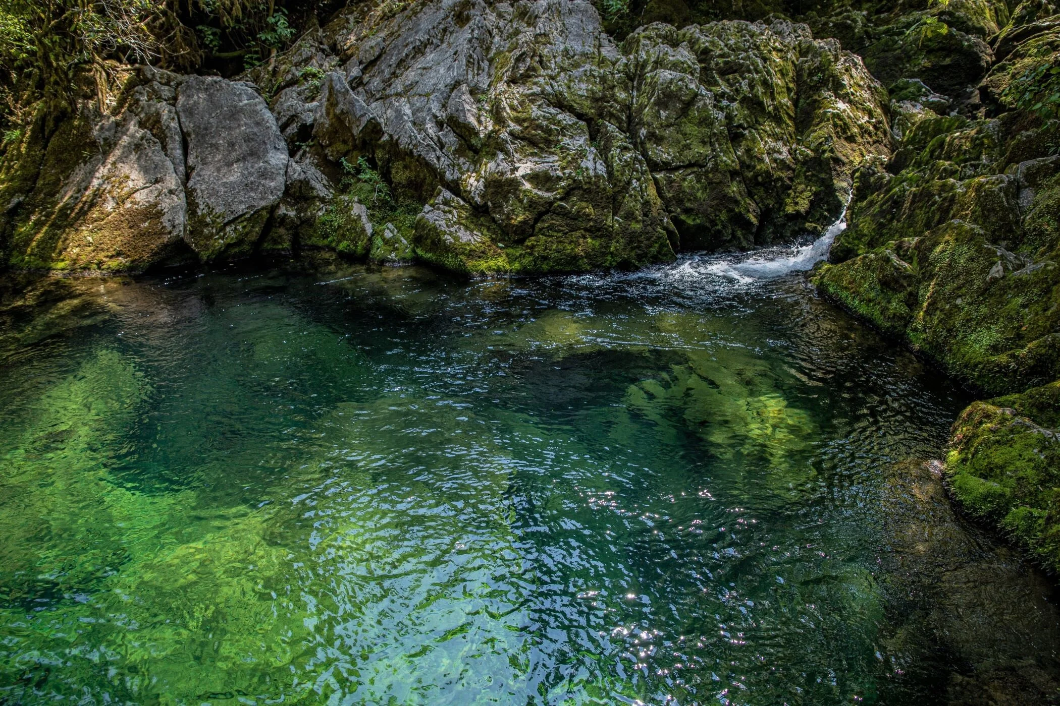 Golden Bay Journey,Te Puna o Riuwaka,-4318 (2).jpg