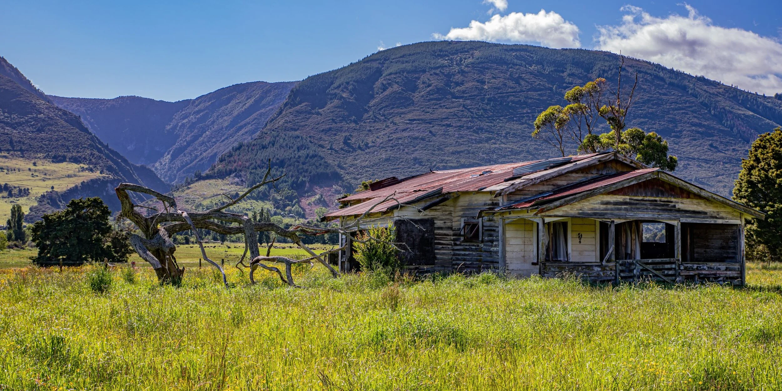 Golden Bay Journey,The Valley,-3387.jpg
