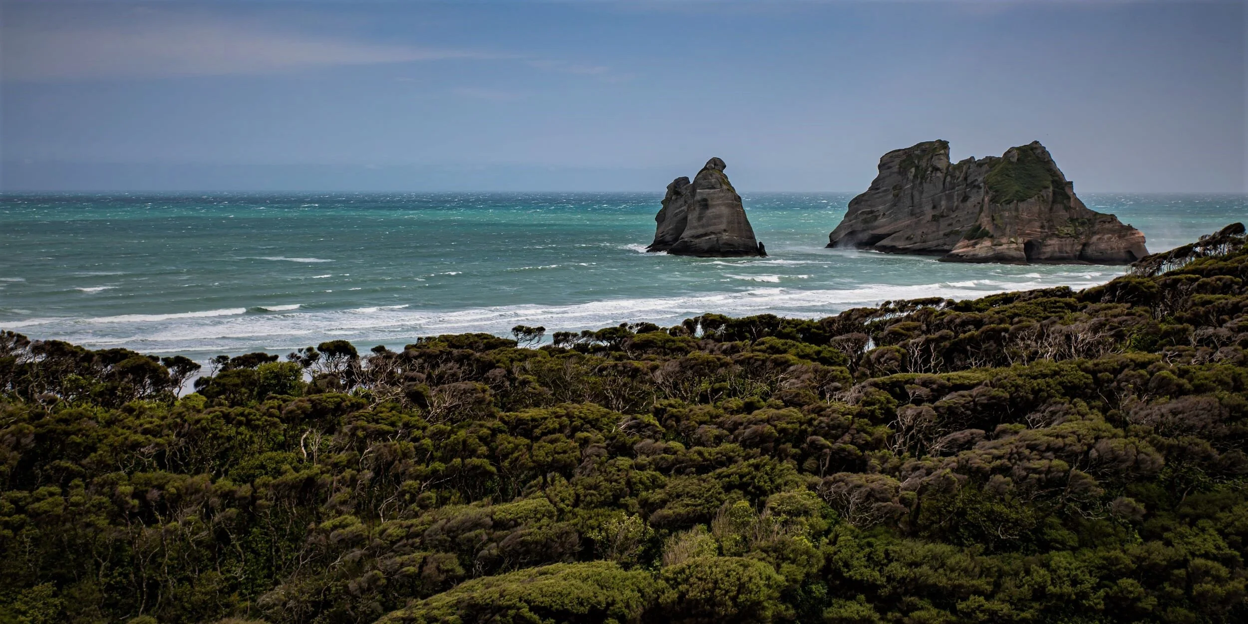 Golden Bay Journey,Wharariki Beach,-3991 (2).jpg