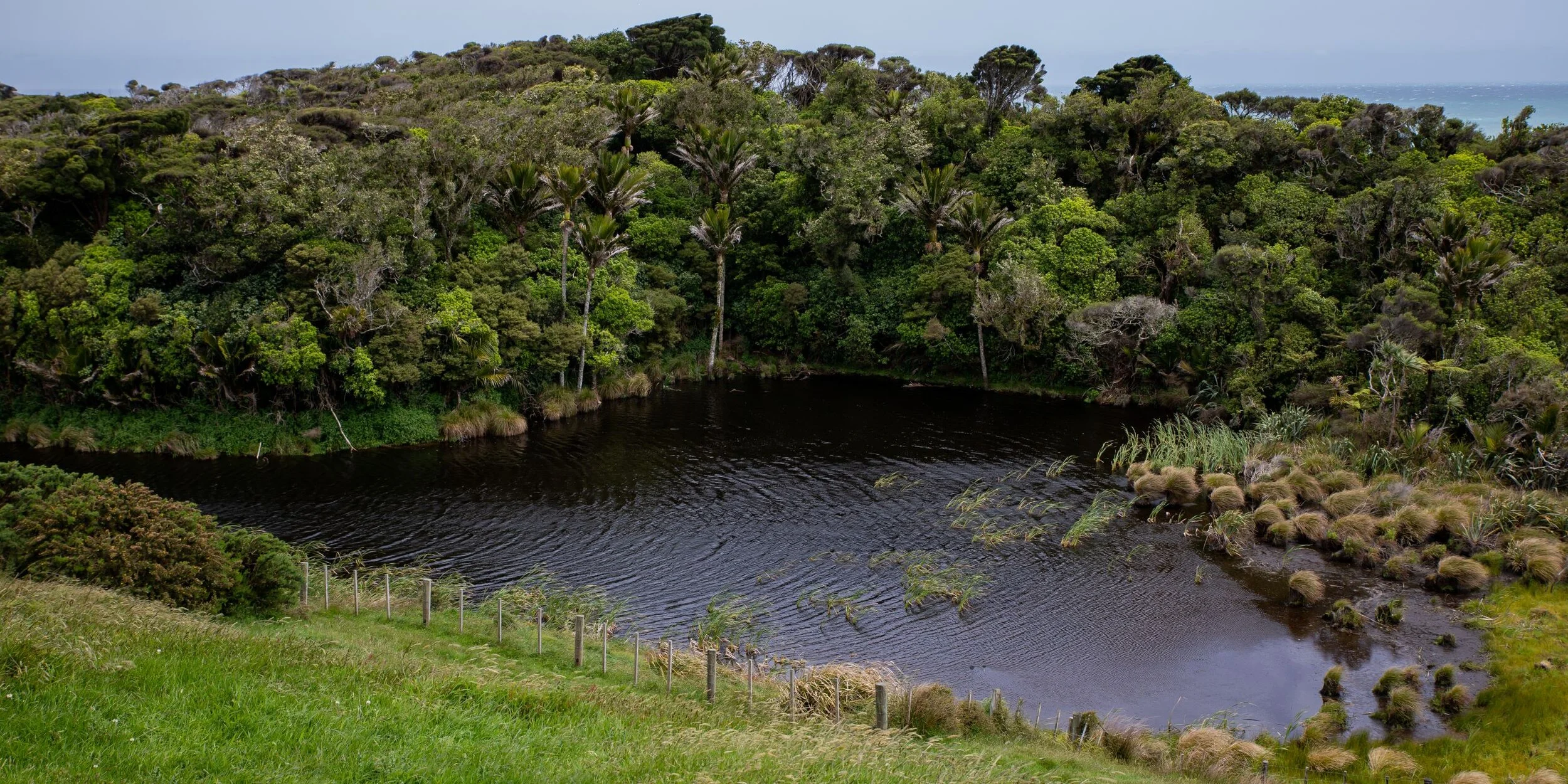 Golden Bay Journey,Wharariki Beach,-3992.jpg