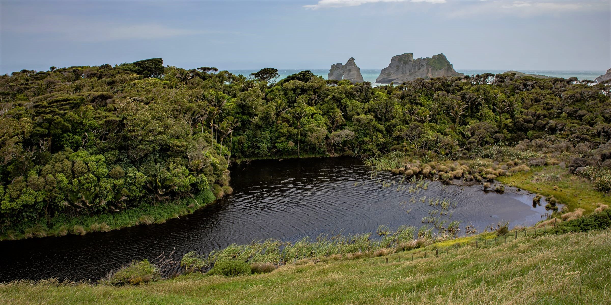 Golden Bay Journey,Wharariki Beach,-3993 (2).jpg