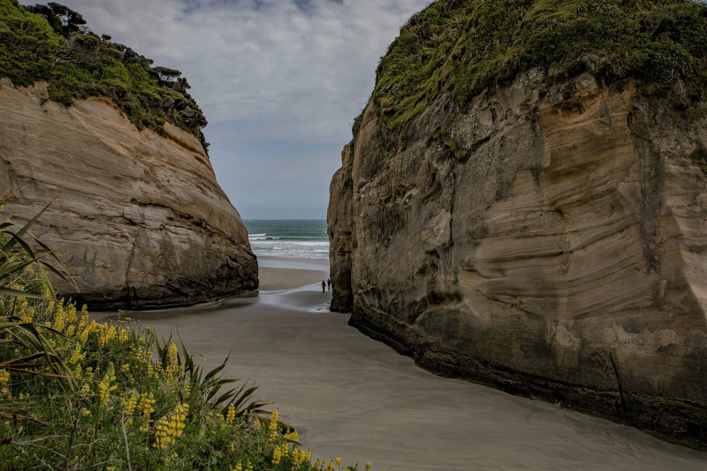 Golden Bay Journey,Wharariki Beach,-4002 (2).jpg