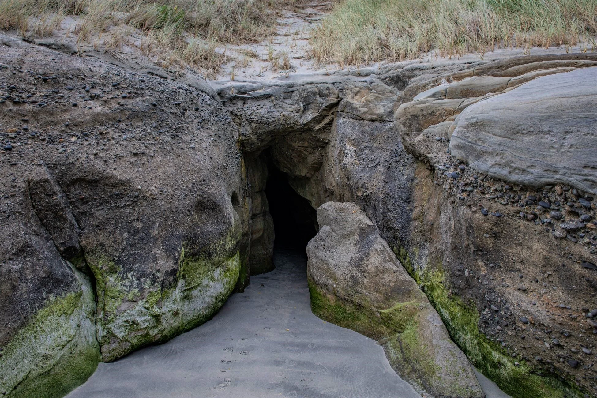 Golden Bay Journey,Wharariki Beach,-4007 (2).jpg