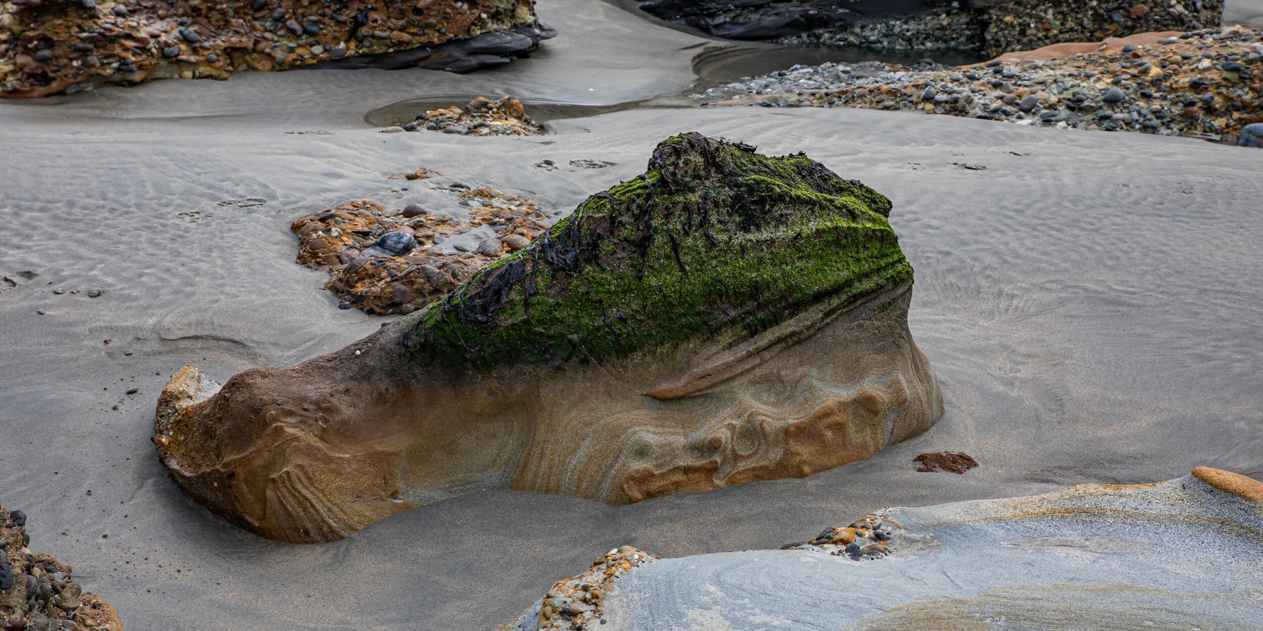 Golden Bay Journey,Wharariki Beach,-4020.jpg