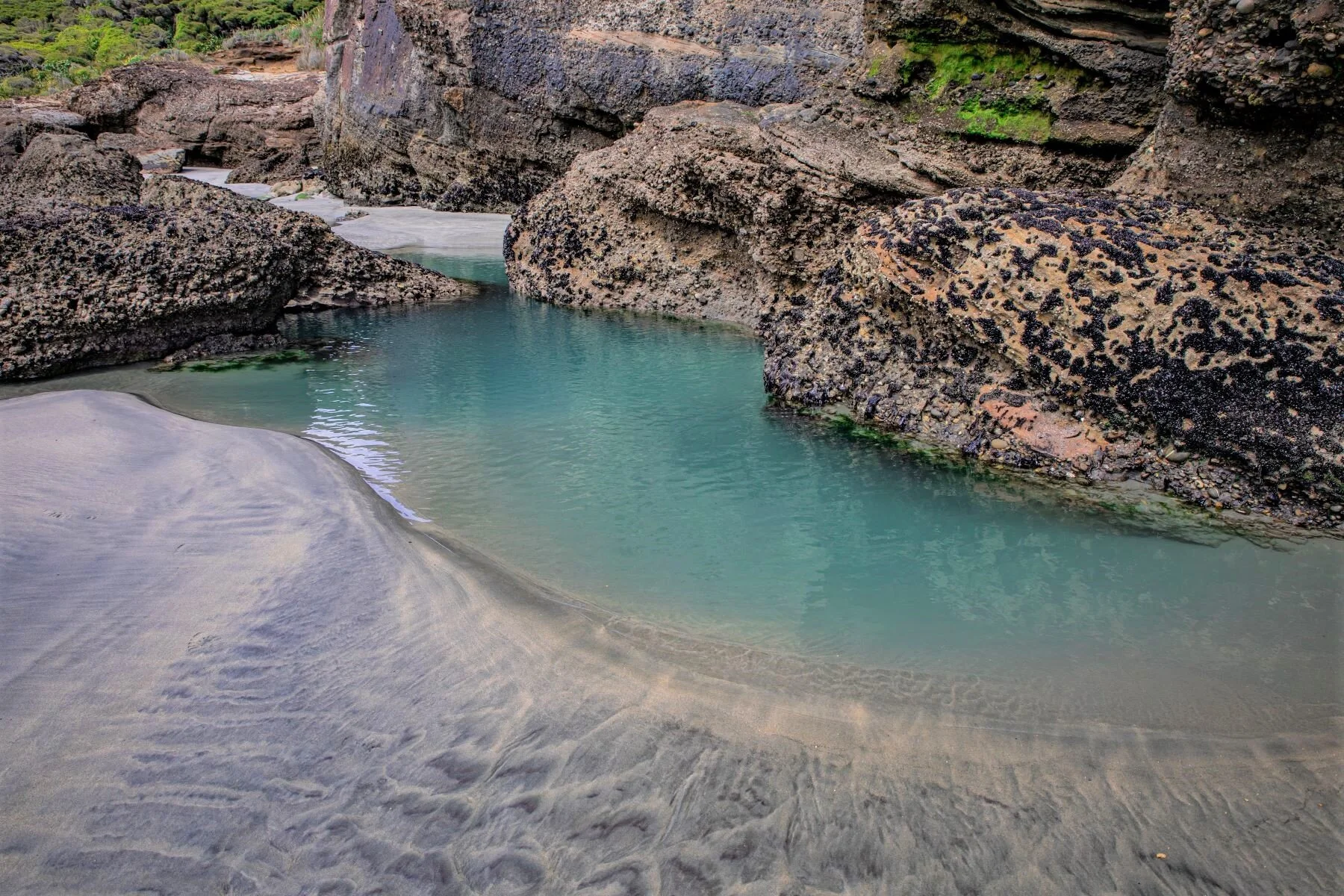 Golden Bay Journey,Wharariki Beach,-4036 (2).jpg