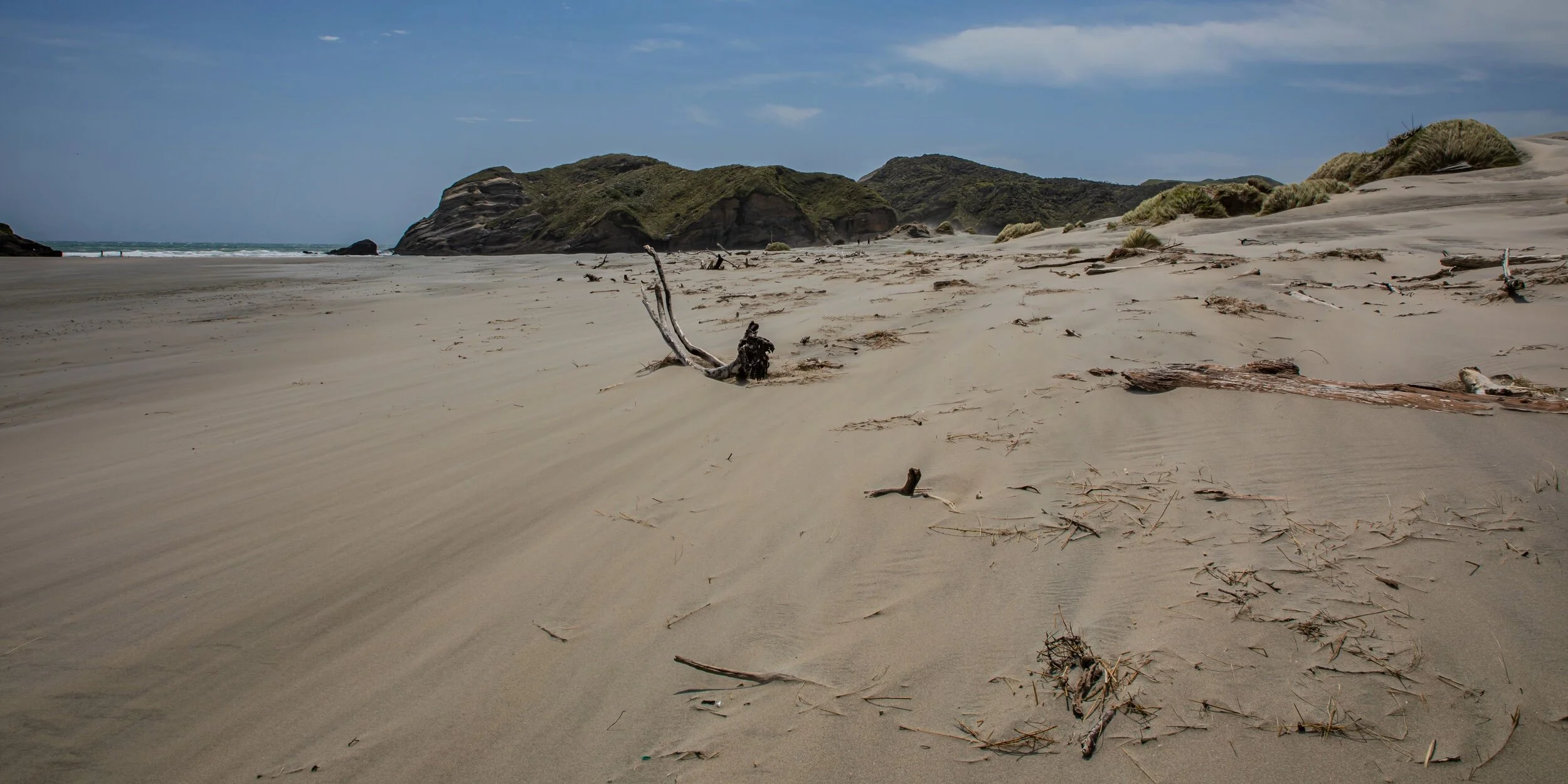 Golden Bay Journey,Wharariki Beach,-4071 (2).jpg