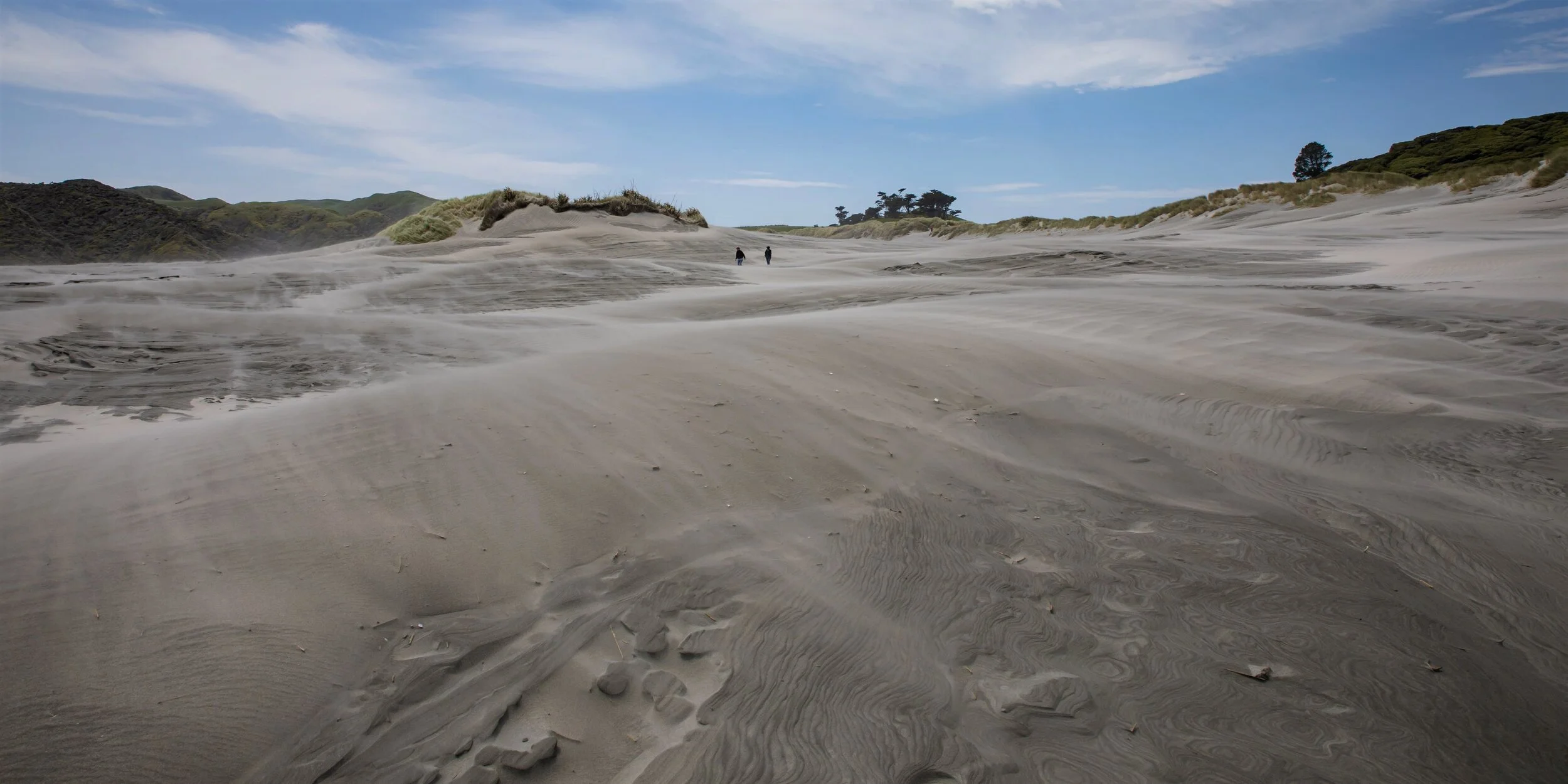Golden Bay Journey,Wharariki Beach,-4077 (2).jpg