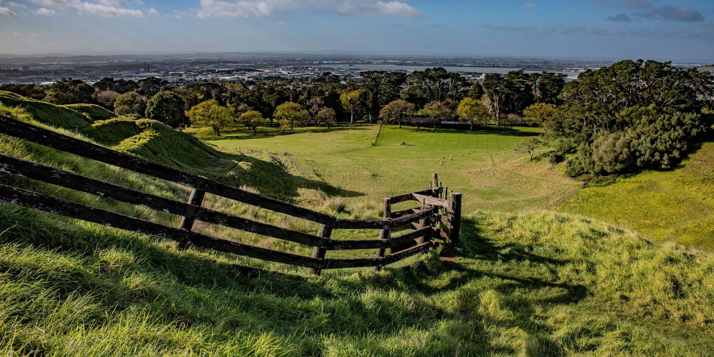 Cornwall Park-Maungakiekie,-3693 (2).jpg