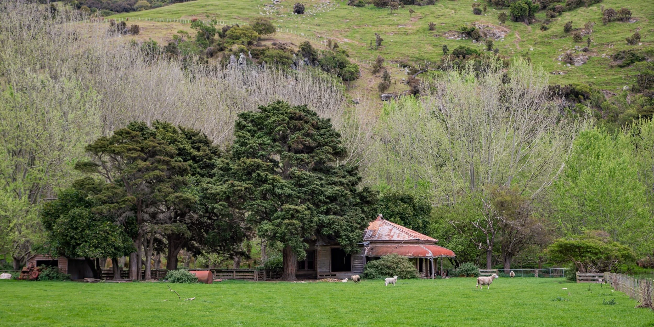 Banks Peninsula,-3936 (2).jpg