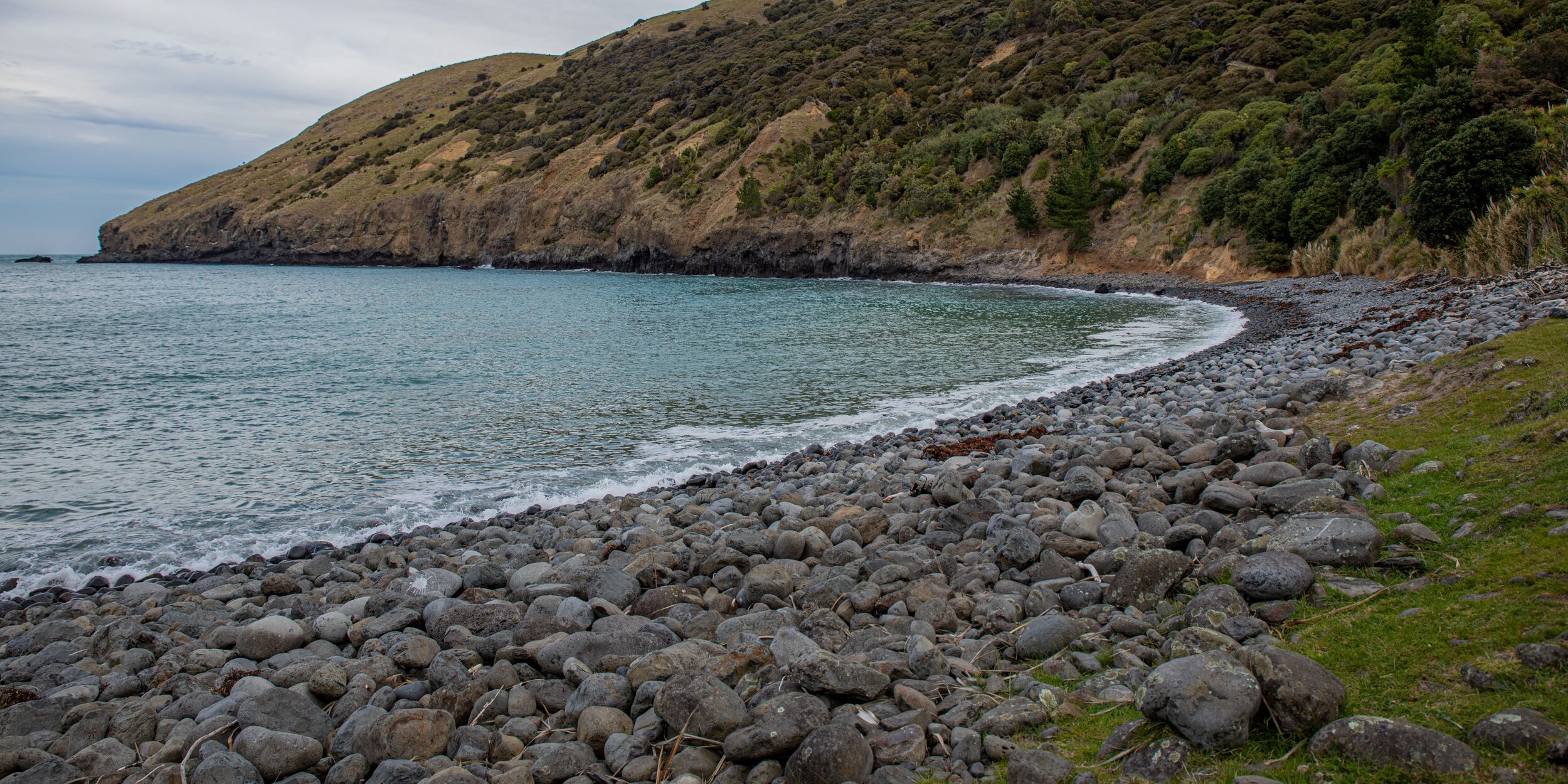 Banks Peninsula,Stony Bay,-4114.jpg