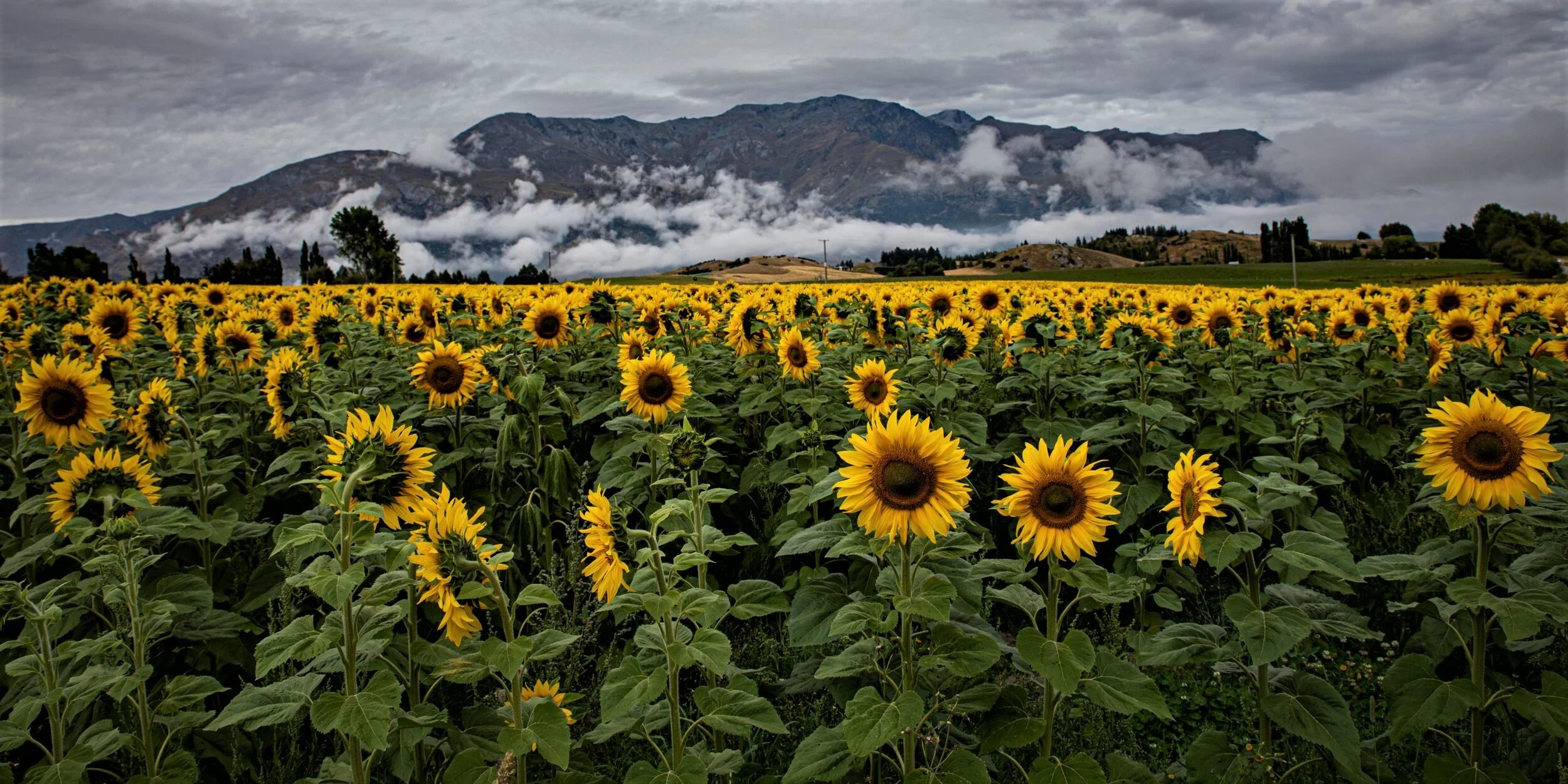 Queenstown,Crown Range,-6027 (2).jpg