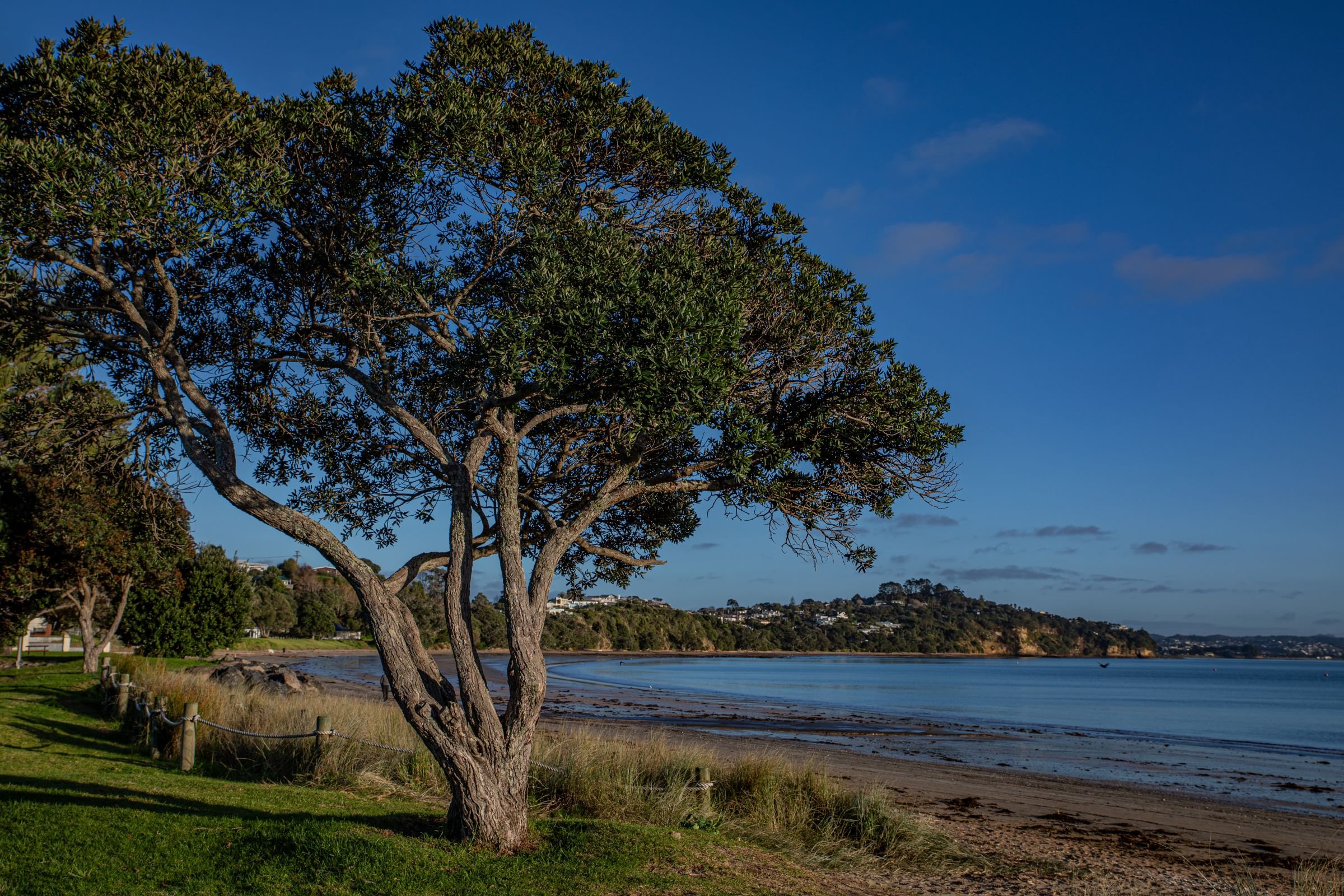 Stanmore Bay,-7231.jpg
