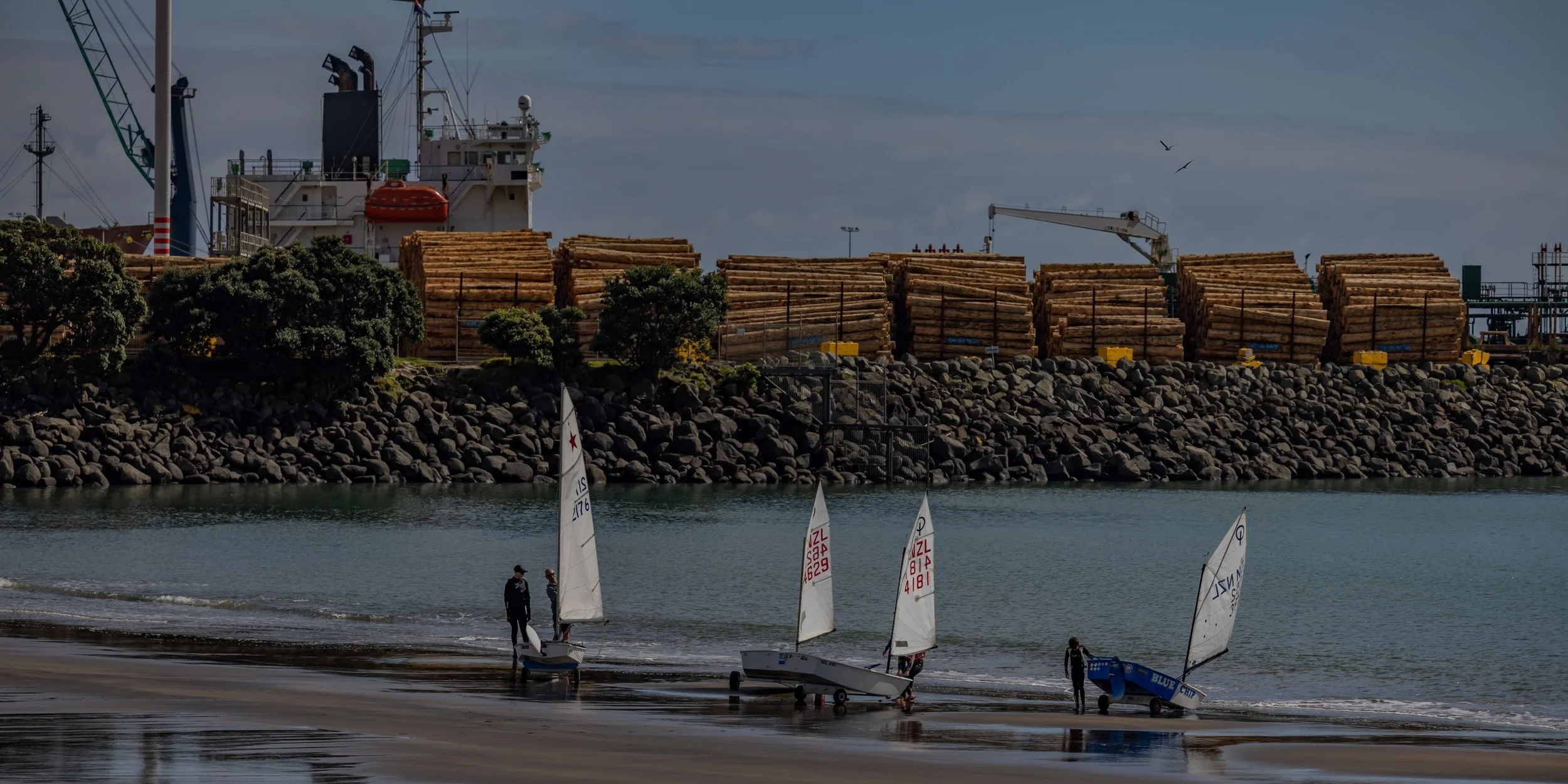 Taranaki,Coastal Walkway,-6264.jpg