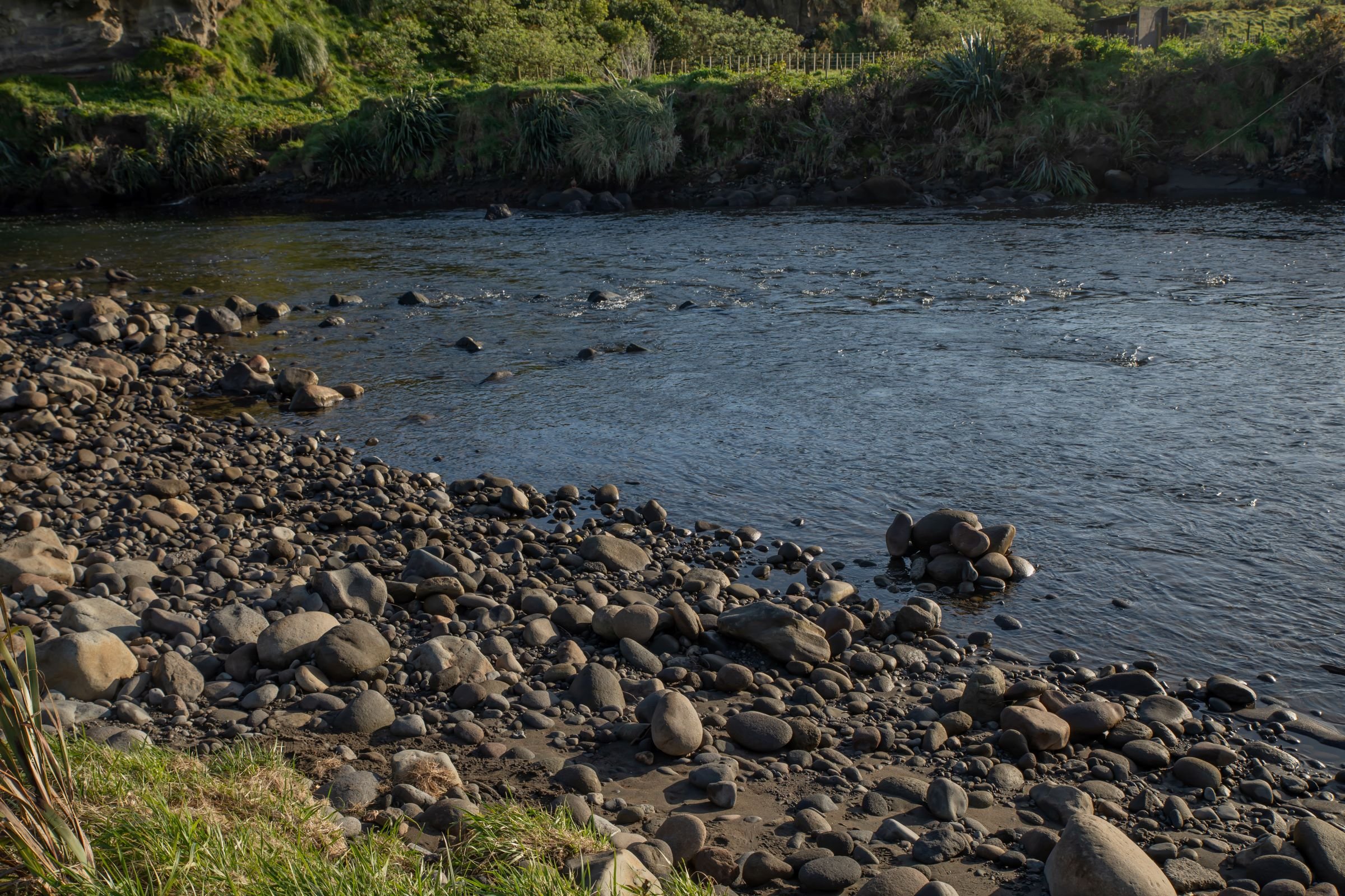 Taranaki,Waiwhakaiho River,-1283.jpg