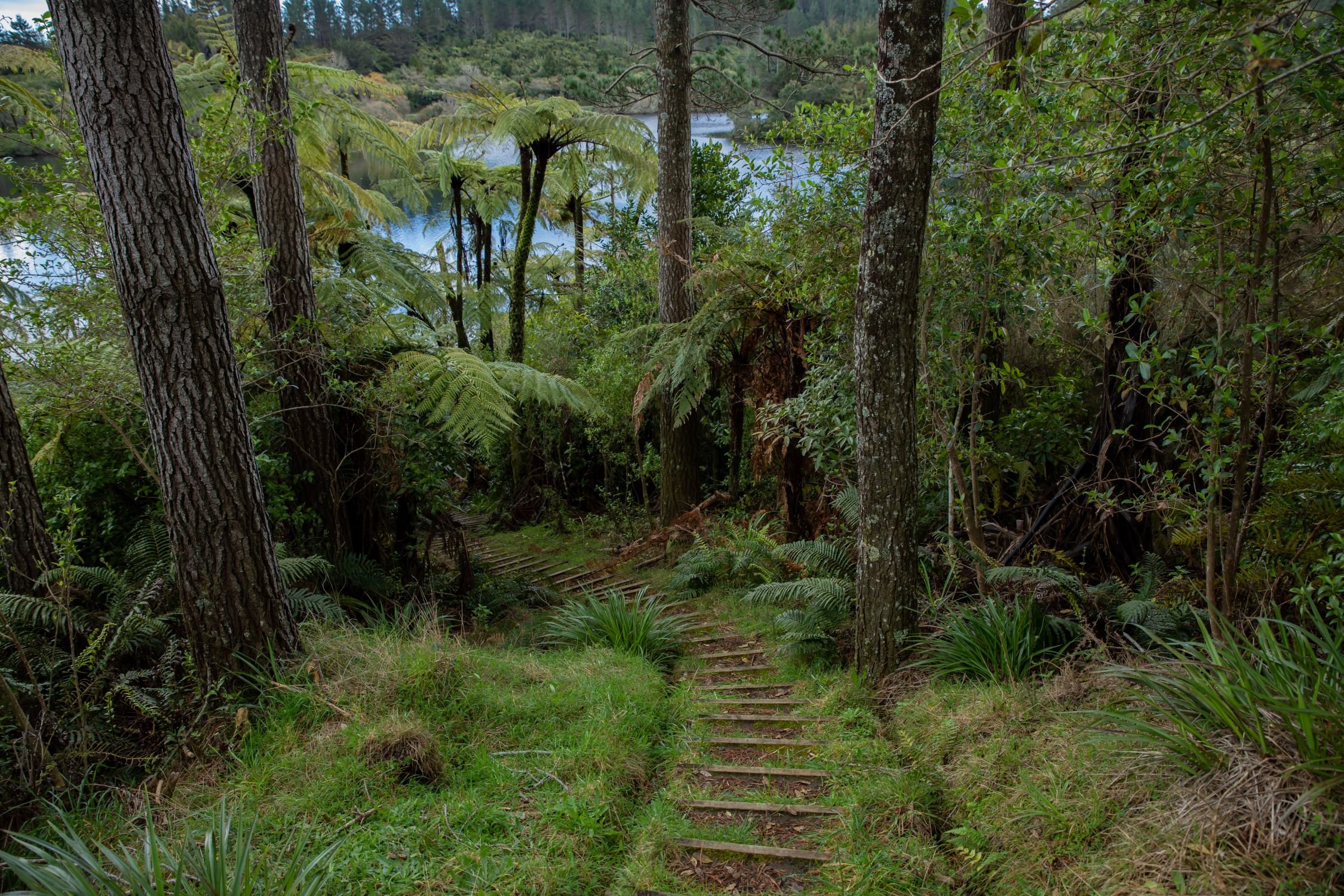 Taranaki,Lake Mangamahoe,-1116.jpg