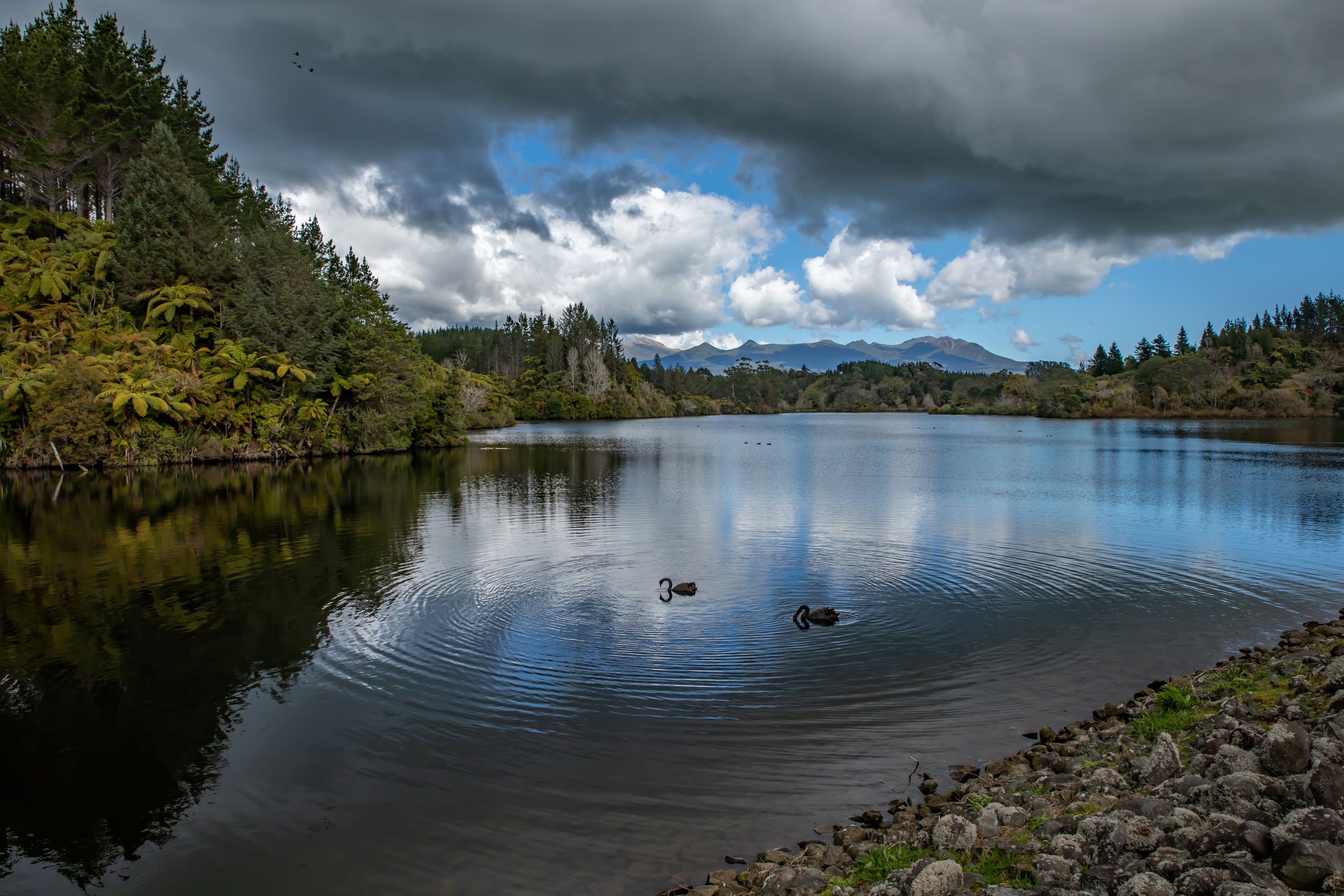 Taranaki,Lake Mangamahoe,-1123.jpg