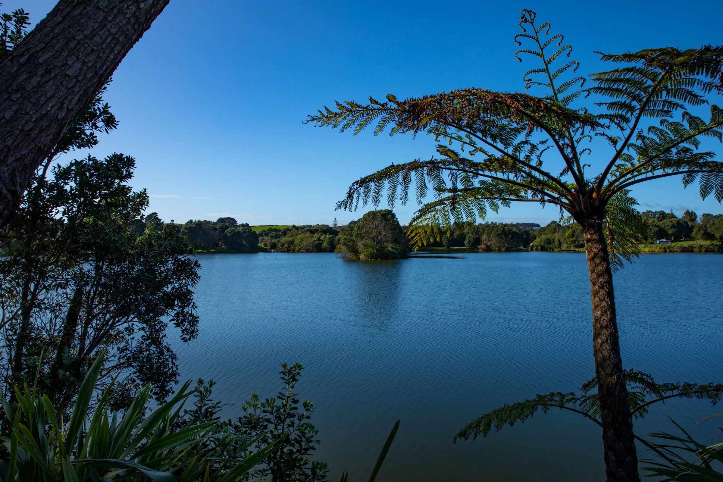 Taranaki,Lake Rotomanu,-1316.jpg