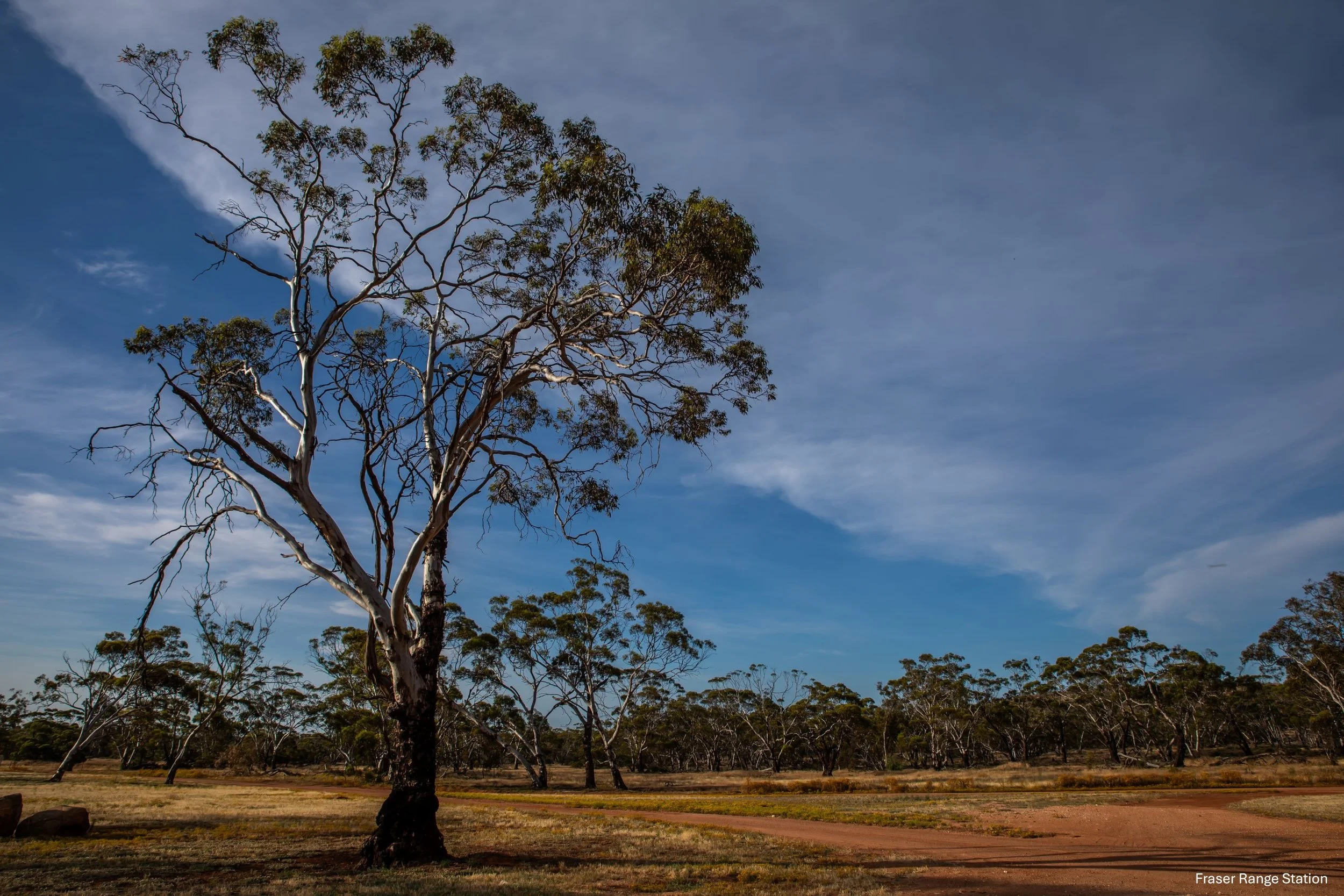 Fraser Range Station,-0761.jpg