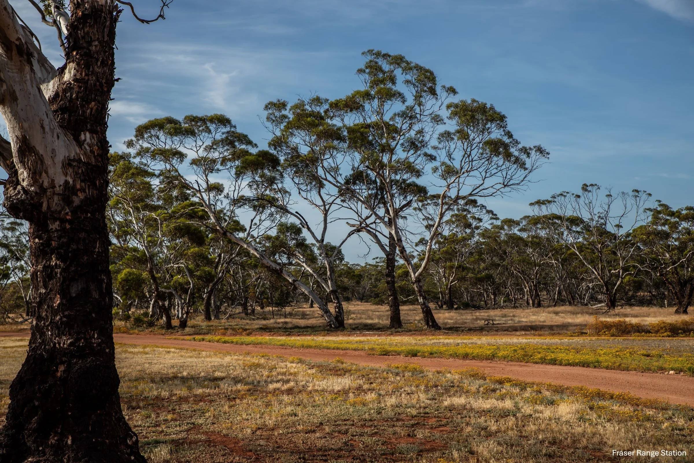 Fraser Range Station,-0762.jpg