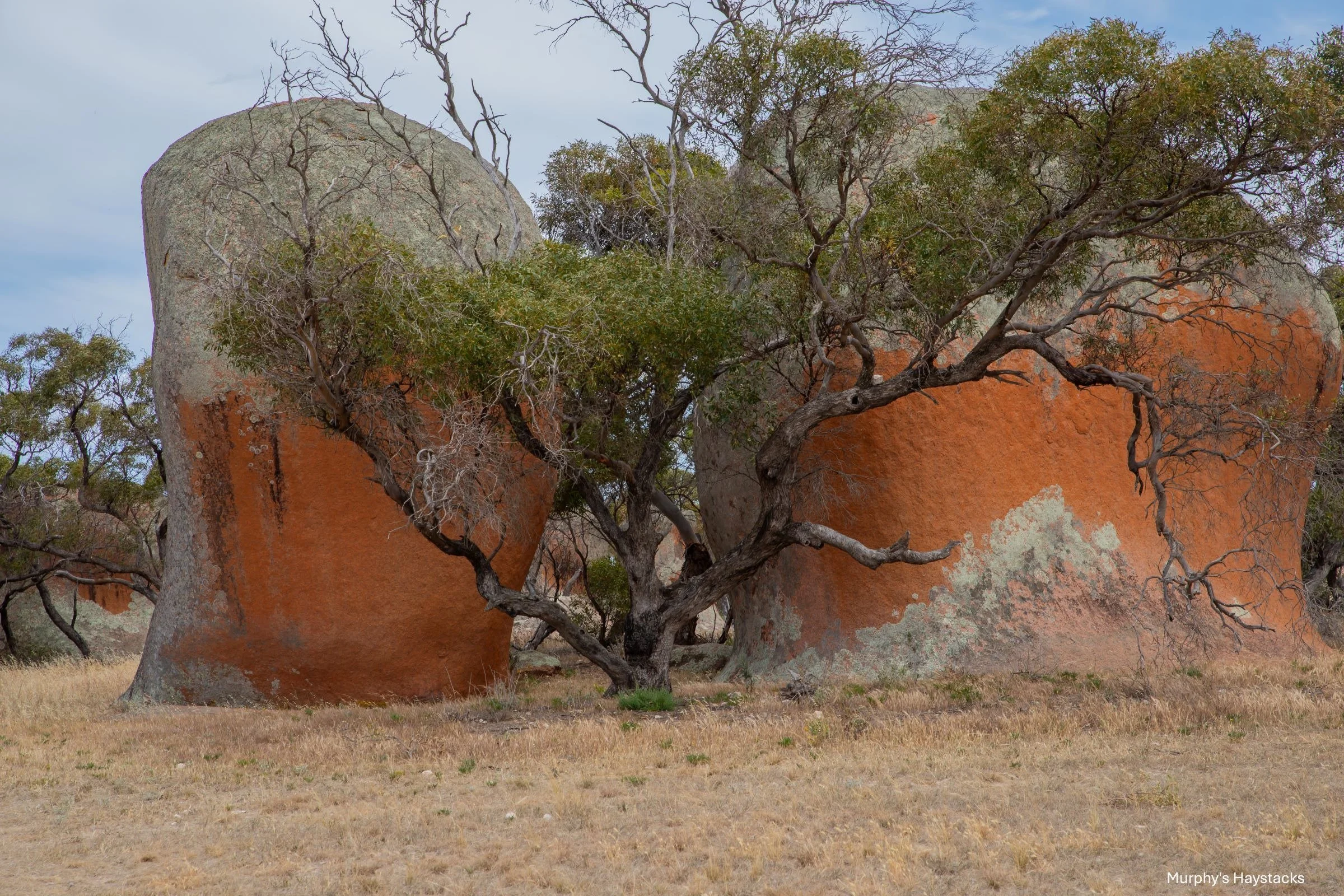 Murphy's Haystacks,-0888.jpg