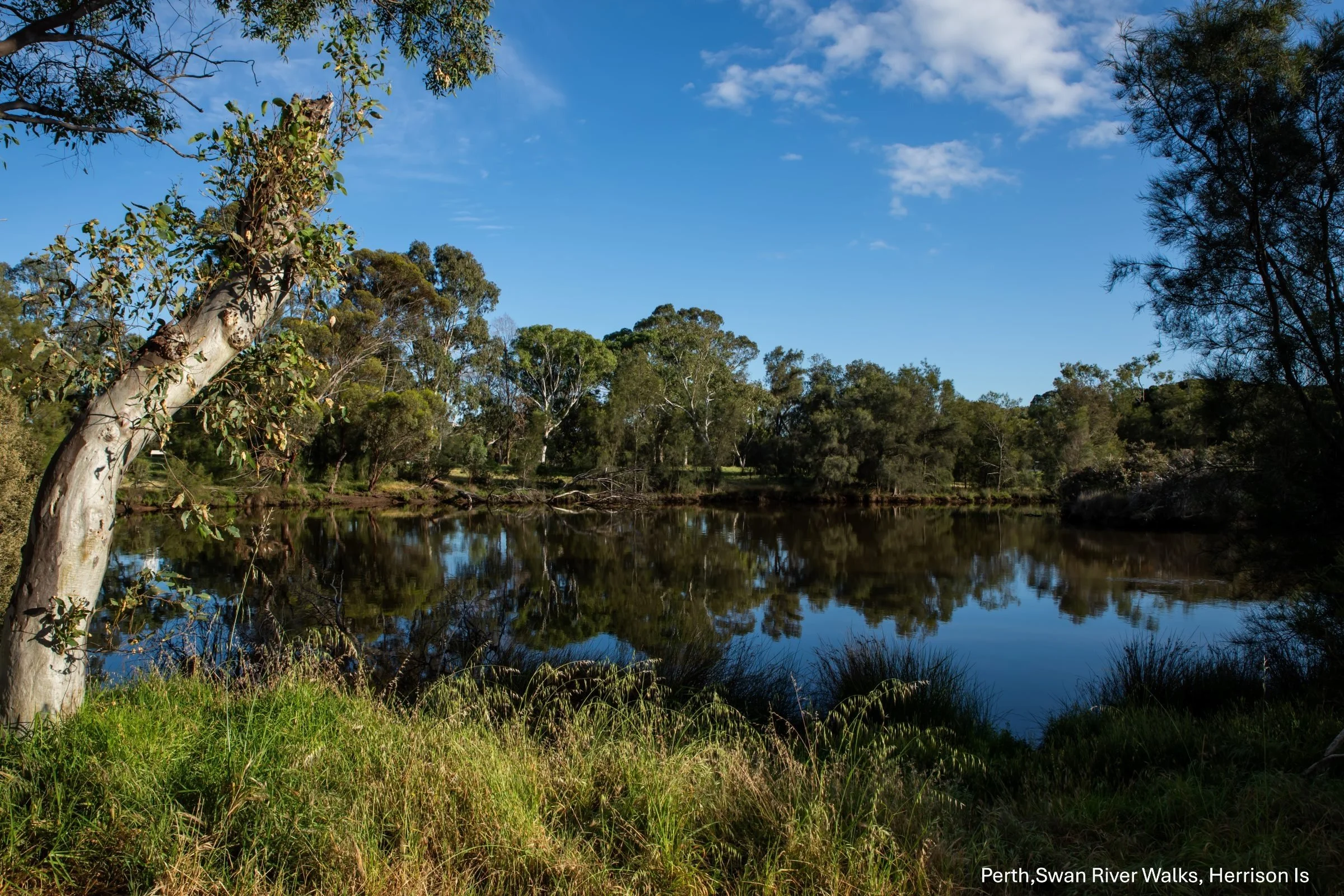 Perth,Swan River Walks,Herrison Island,-9961.jpg