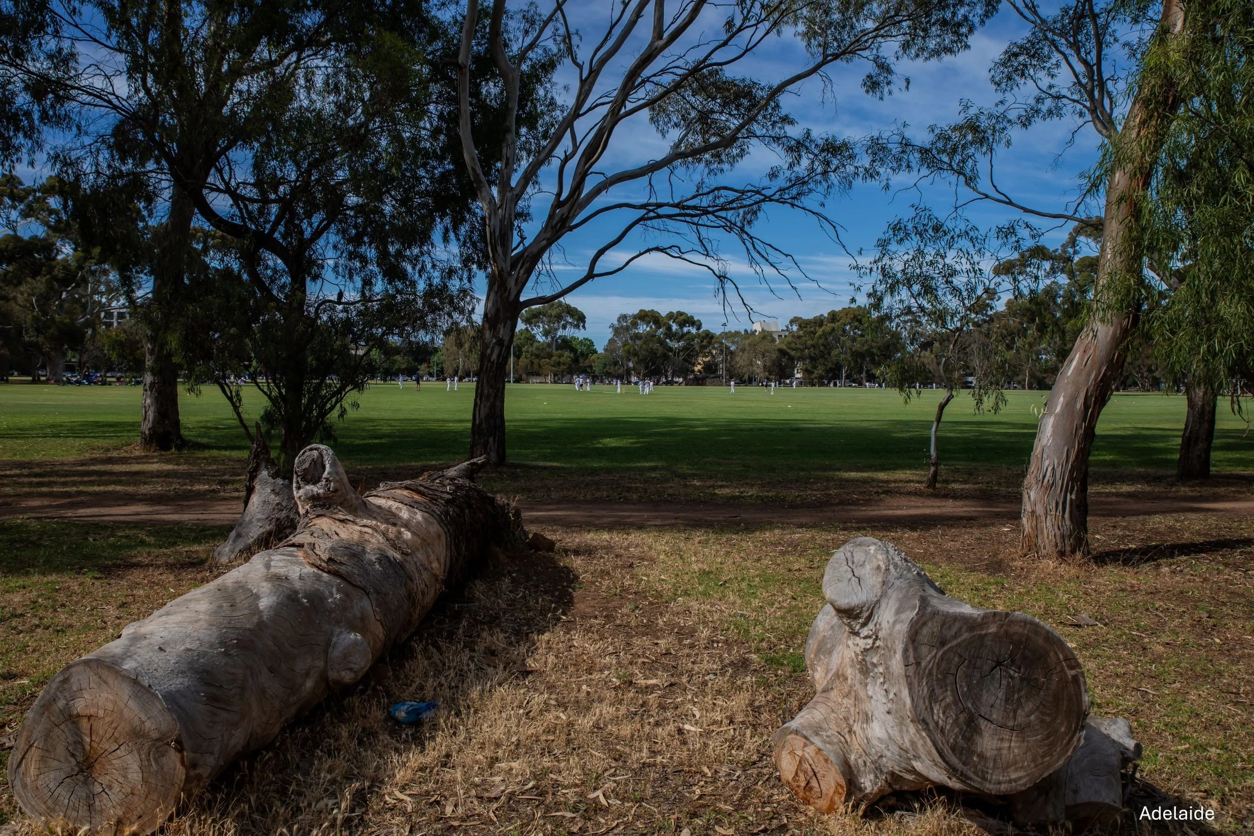 Adelaide,-1055.jpg