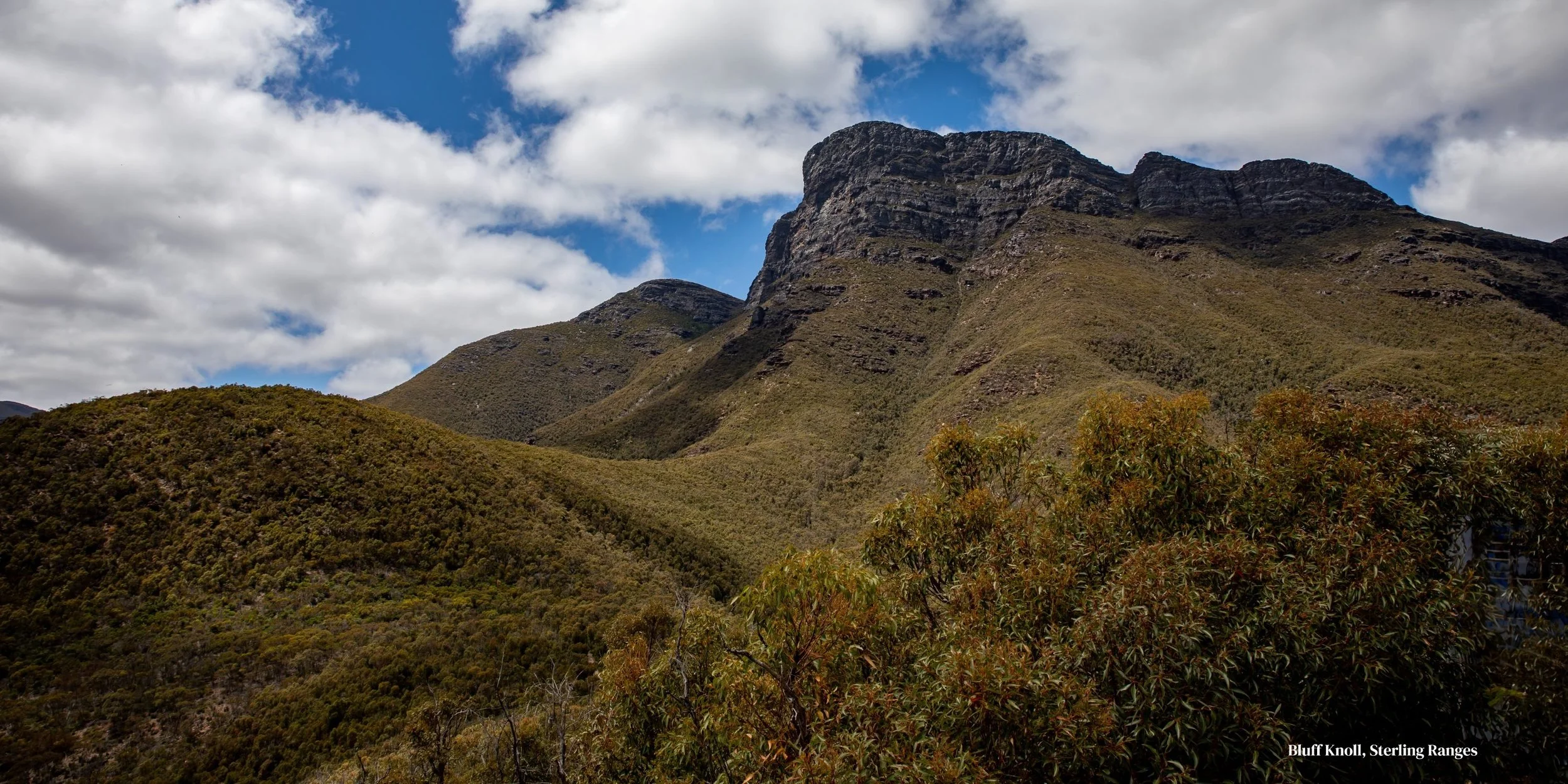Bluff Knoll, Sterling Ranges,-0519.jpg