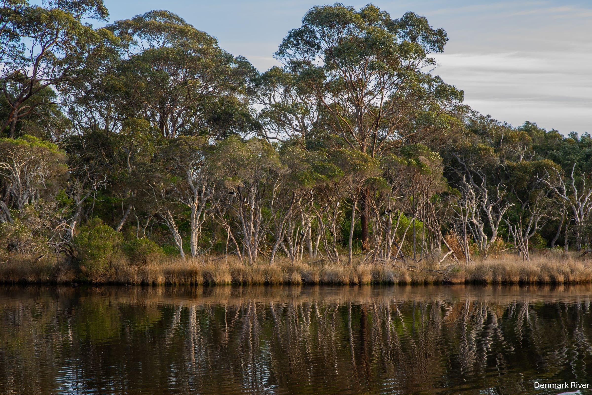 Denmark River,-0398.jpg