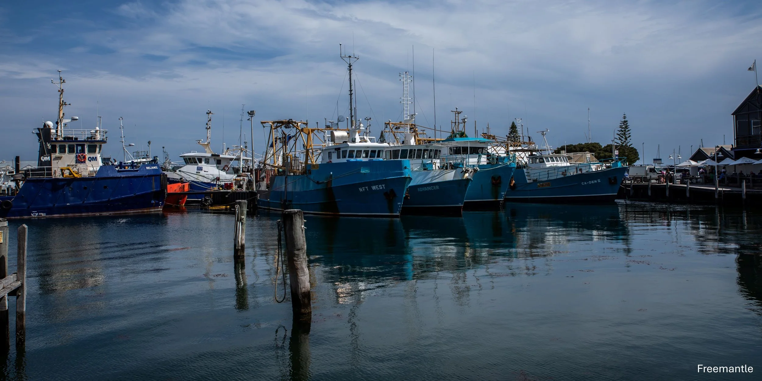 Freemantle,-0105.jpg